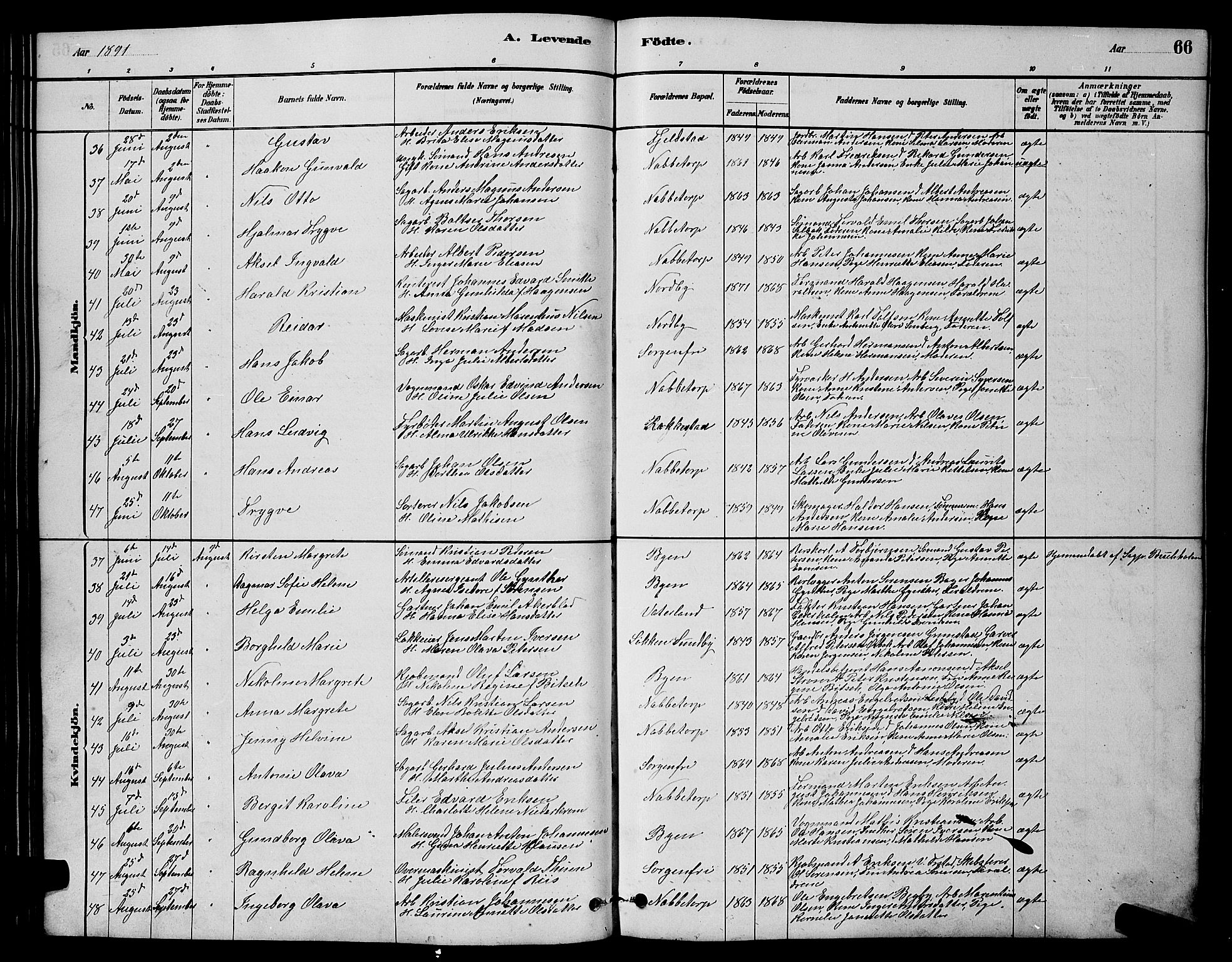 Østre Fredrikstad prestekontor Kirkebøker, SAO/A-10907/G/Ga/L0001: Parish register (copy) no. 1, 1880-1899, p. 66