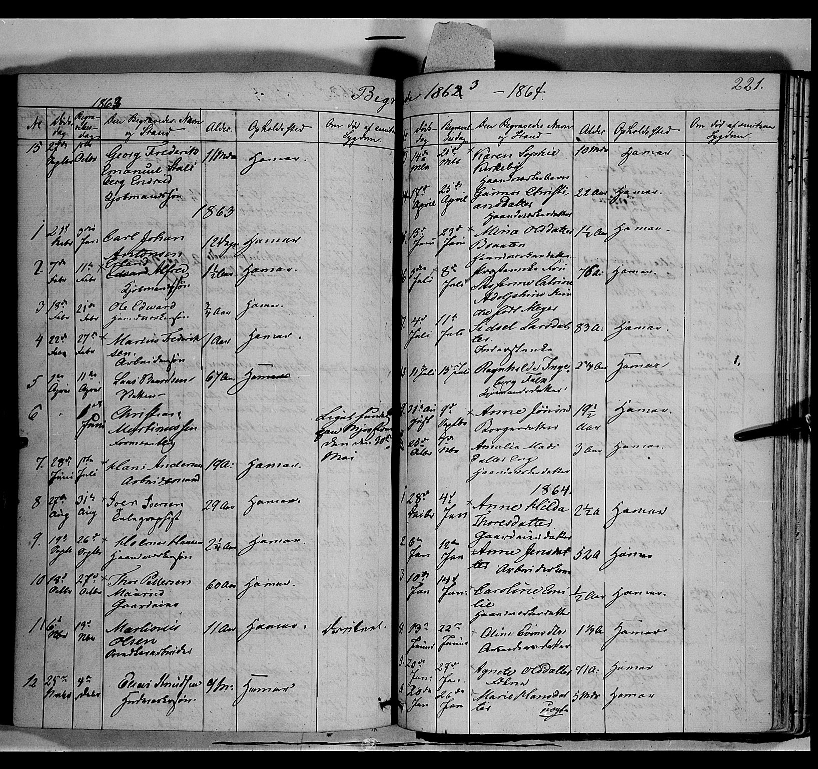 Vang prestekontor, Hedmark, AV/SAH-PREST-008/H/Ha/Haa/L0011: Parish register (official) no. 11, 1852-1877, p. 221