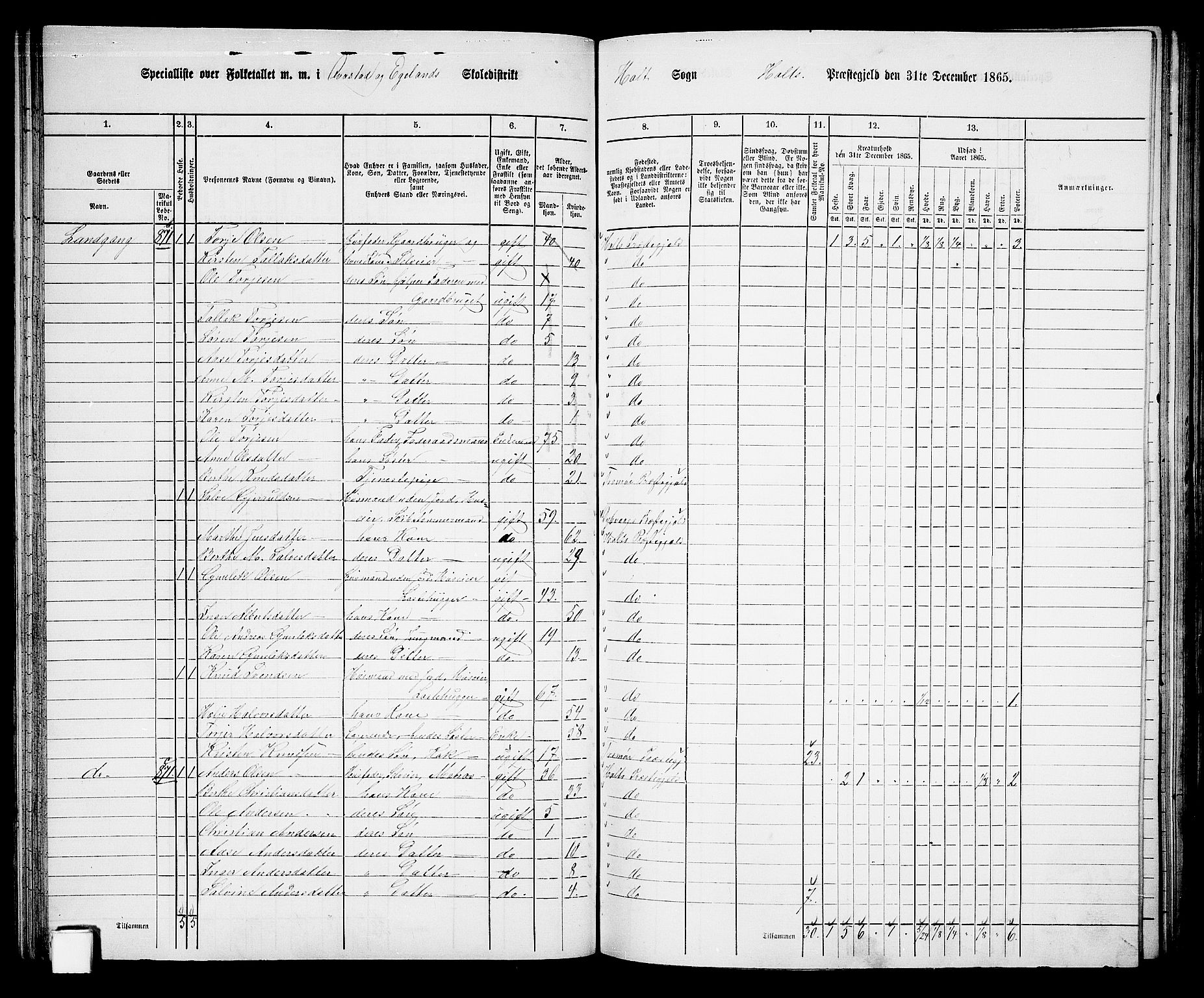 RA, 1865 census for Holt/Holt, 1865, p. 59