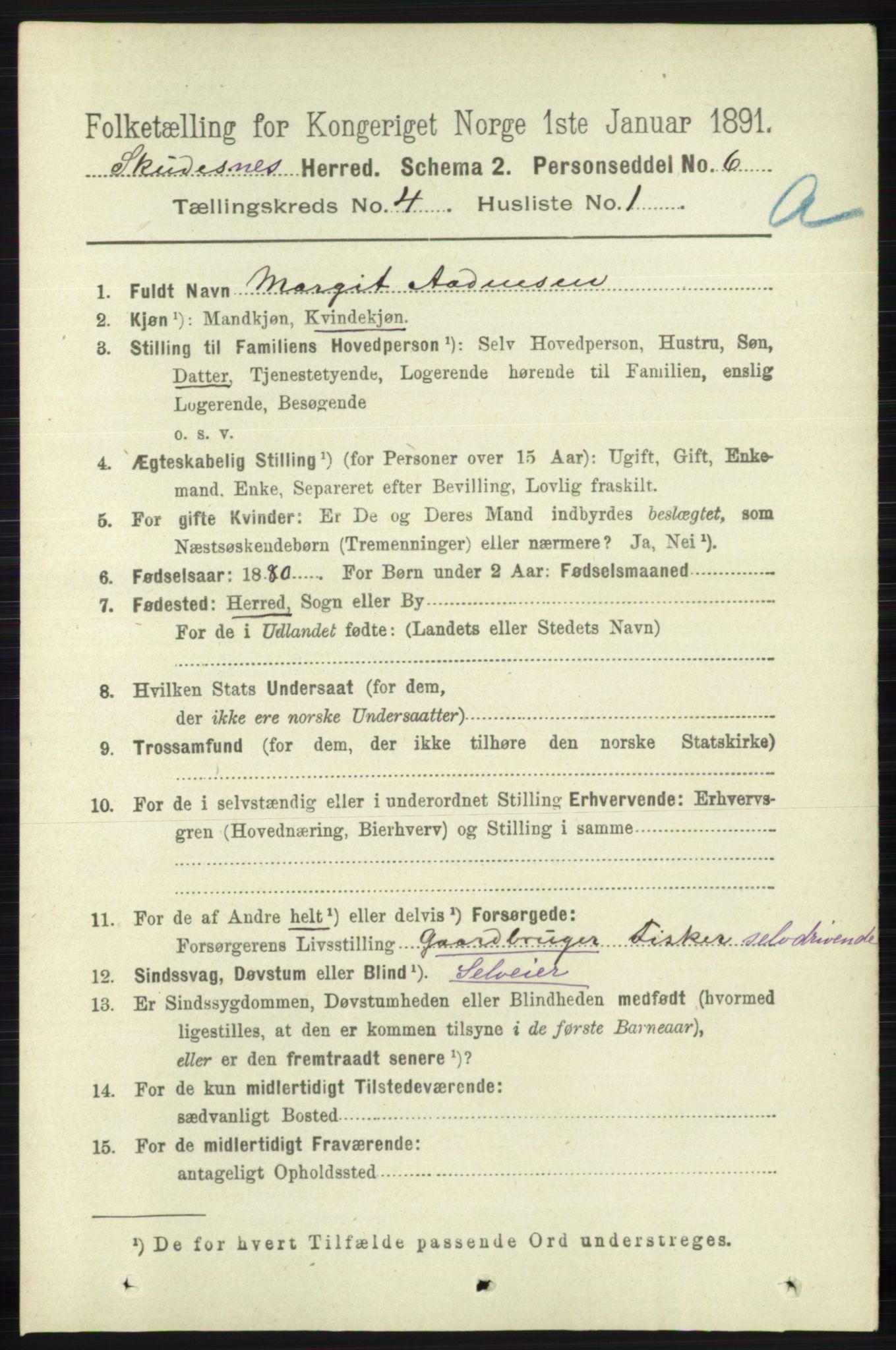 RA, 1891 census for 1150 Skudenes, 1891, p. 1875