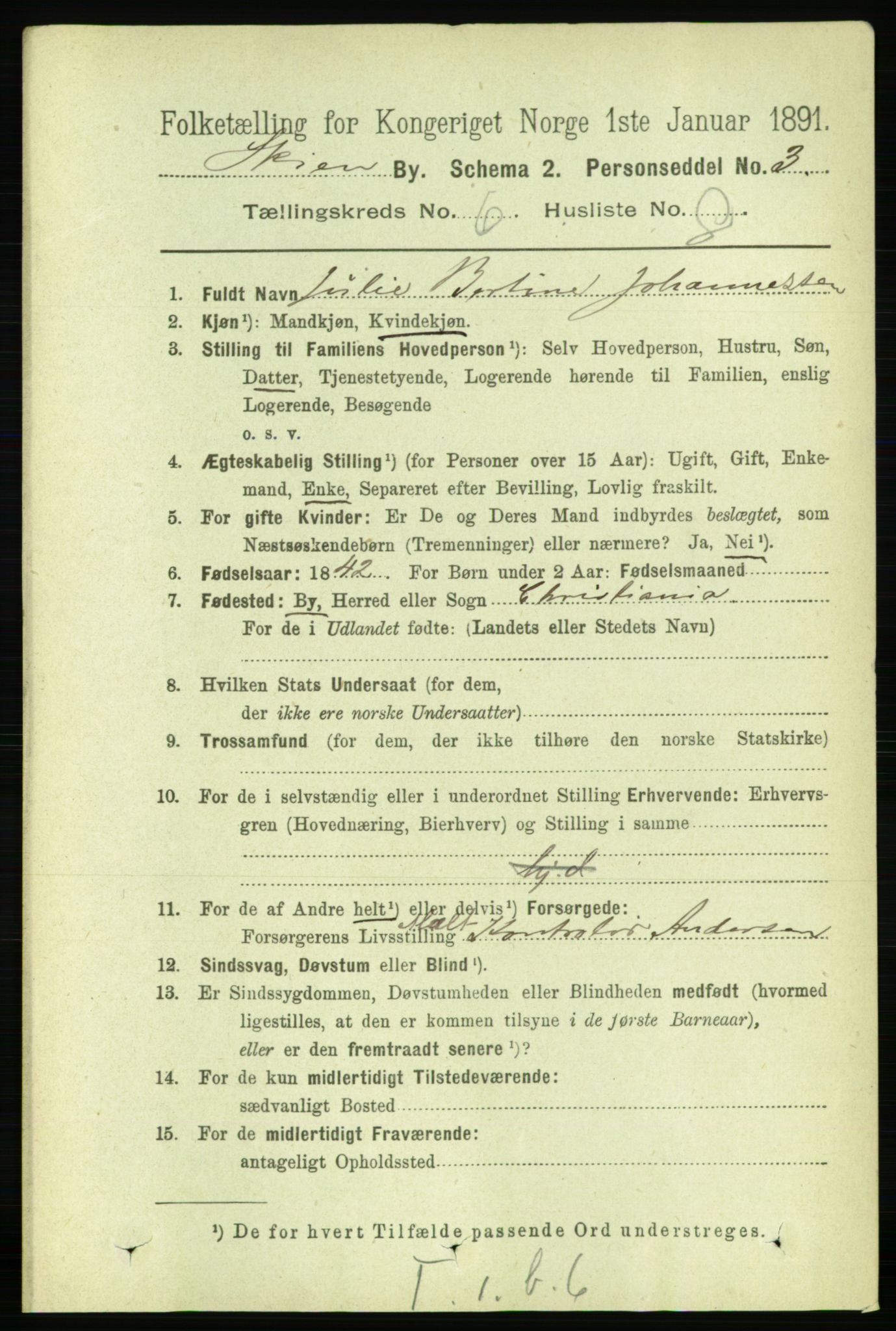 RA, 1891 census for 0806 Skien, 1891, p. 3070