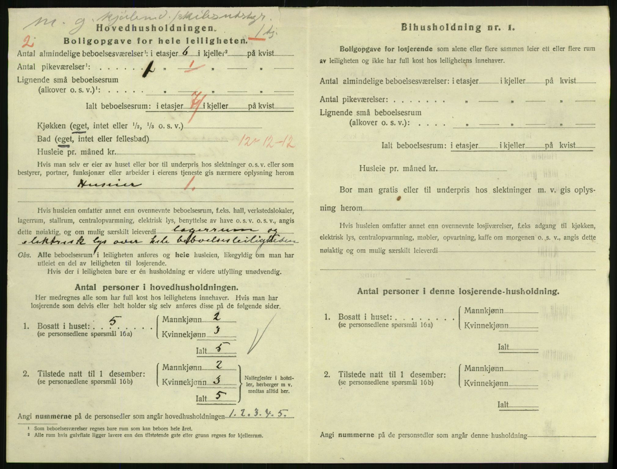 SAKO, 1920 census for Larvik, 1920, p. 6151