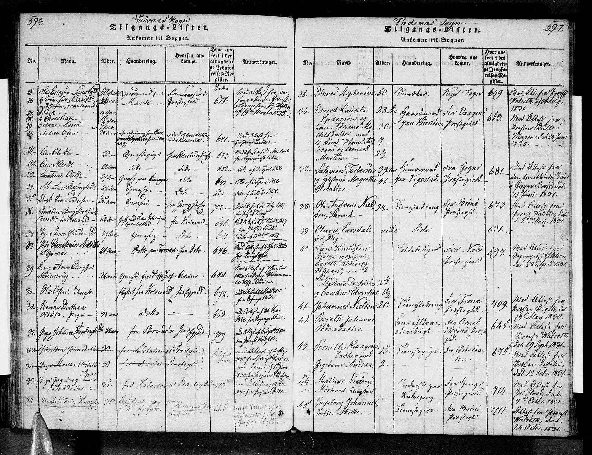 Ministerialprotokoller, klokkerbøker og fødselsregistre - Nordland, AV/SAT-A-1459/810/L0142: Parish register (official) no. 810A06 /1, 1819-1841, p. 596-597