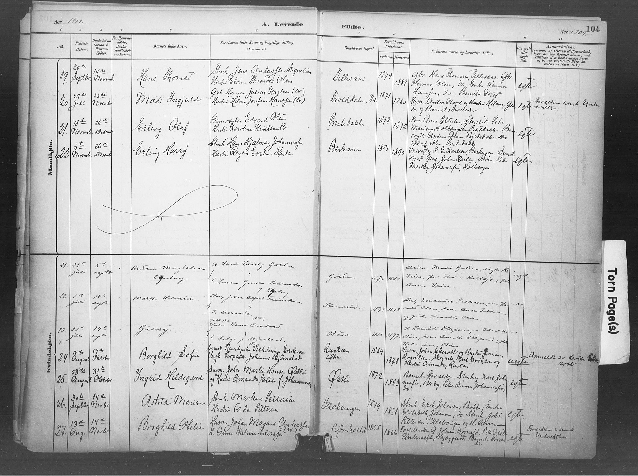 Idd prestekontor Kirkebøker, AV/SAO-A-10911/F/Fb/L0002: Parish register (official) no. II 2, 1882-1923, p. 104