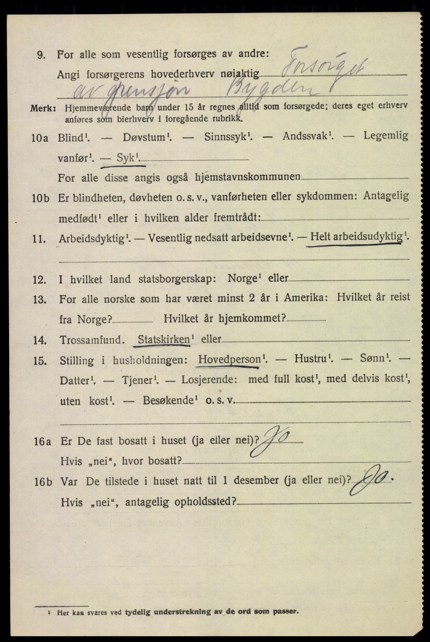 SAKO, 1920 census for Gjerpen, 1920, p. 11485