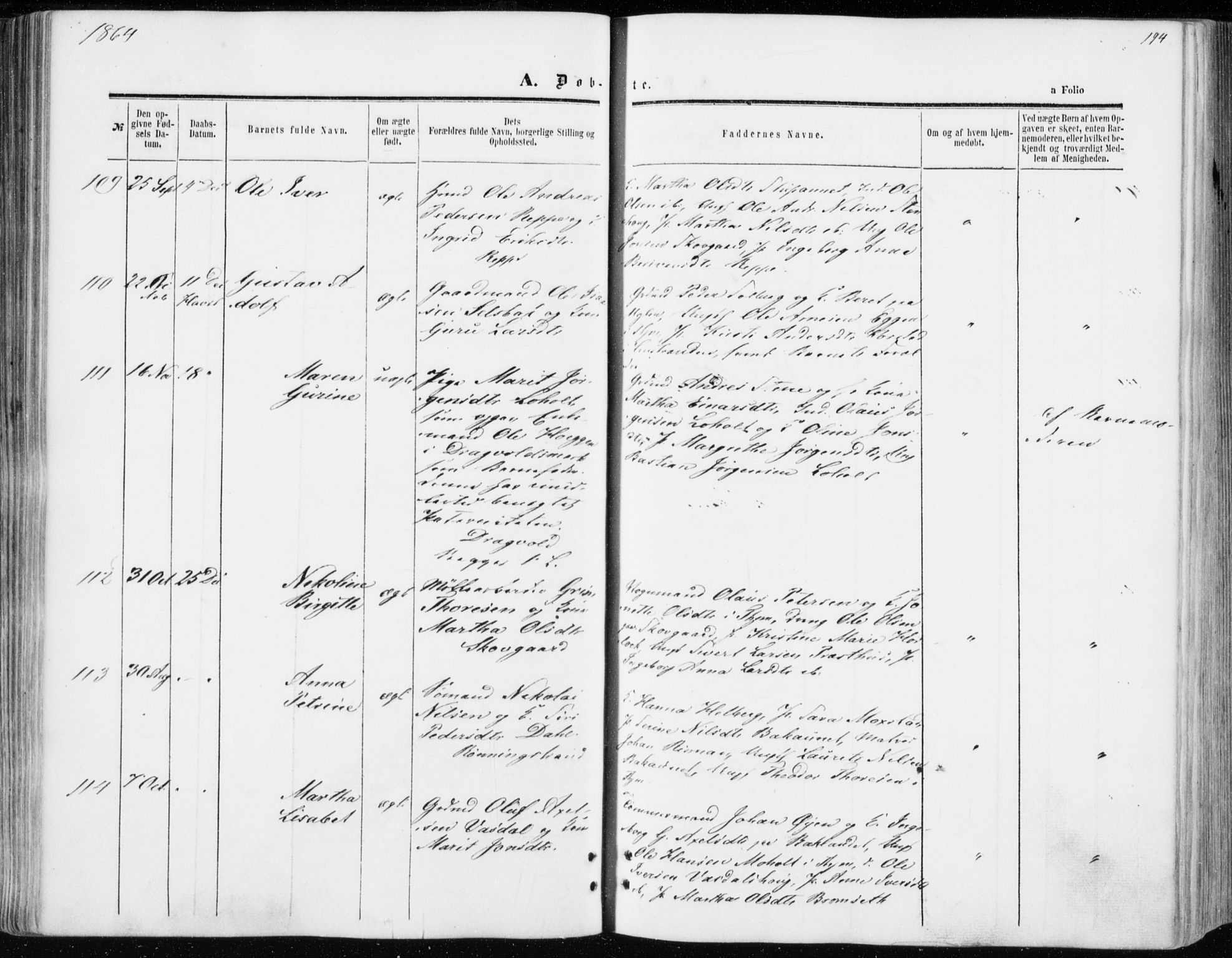 Ministerialprotokoller, klokkerbøker og fødselsregistre - Sør-Trøndelag, SAT/A-1456/606/L0292: Parish register (official) no. 606A07, 1856-1865, p. 194
