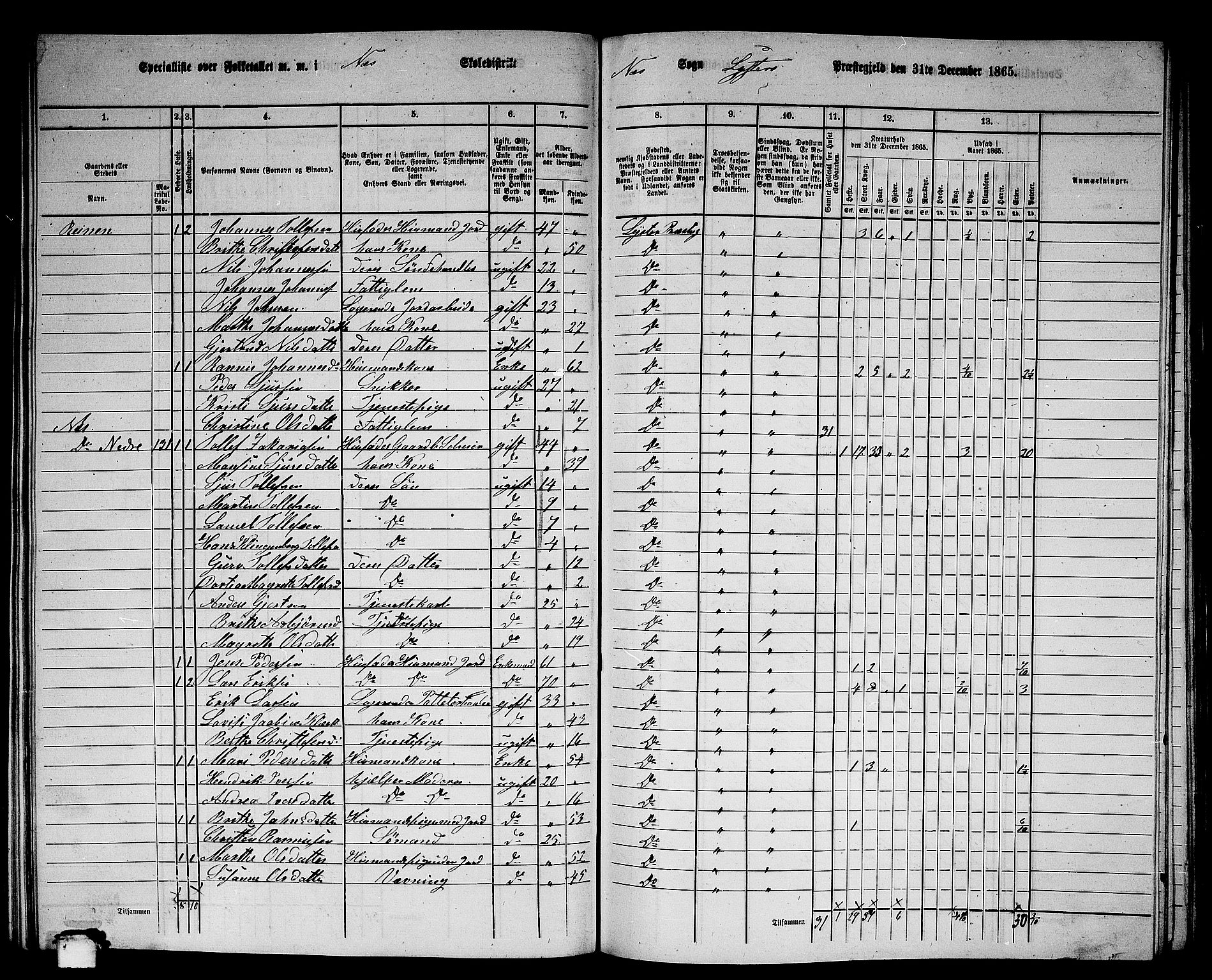 RA, 1865 census for Luster, 1865, p. 121