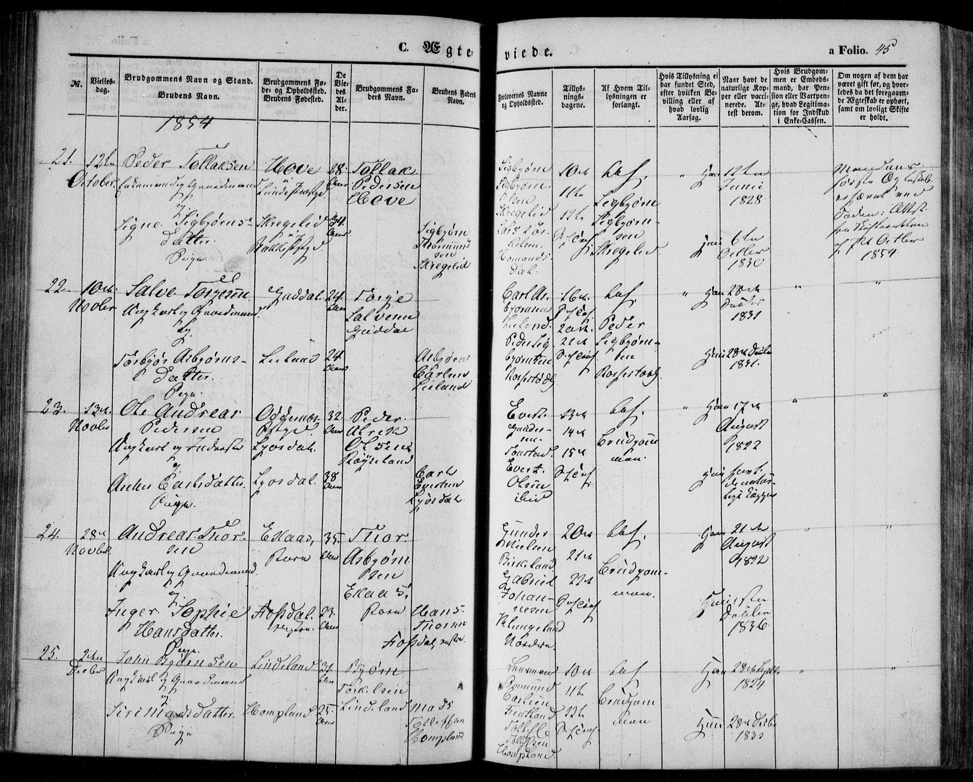 Bakke sokneprestkontor, SAK/1111-0002/F/Fa/Faa/L0005: Parish register (official) no. A 5, 1847-1855, p. 45