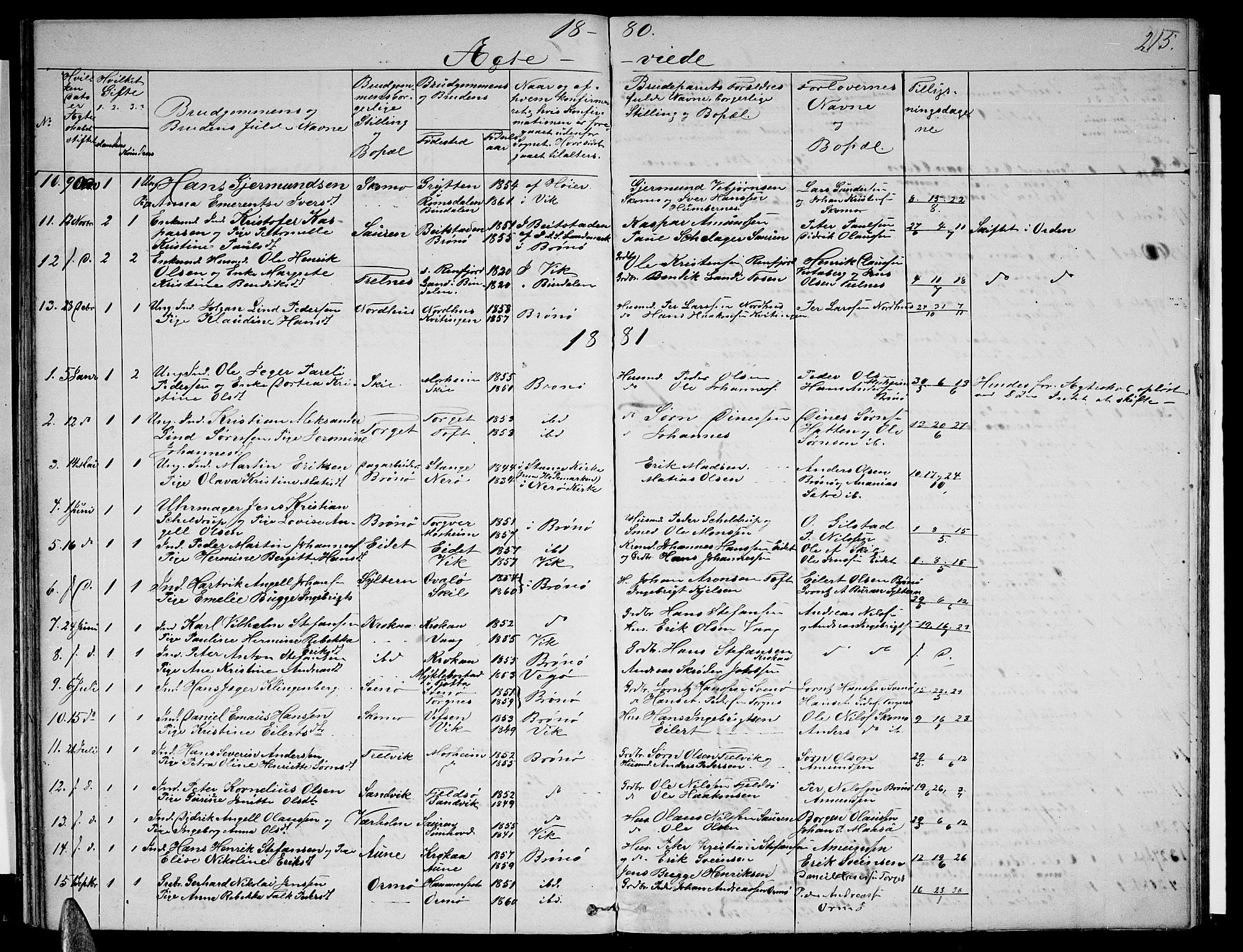 Ministerialprotokoller, klokkerbøker og fødselsregistre - Nordland, AV/SAT-A-1459/813/L0212: Parish register (copy) no. 813C04, 1864-1886, p. 215