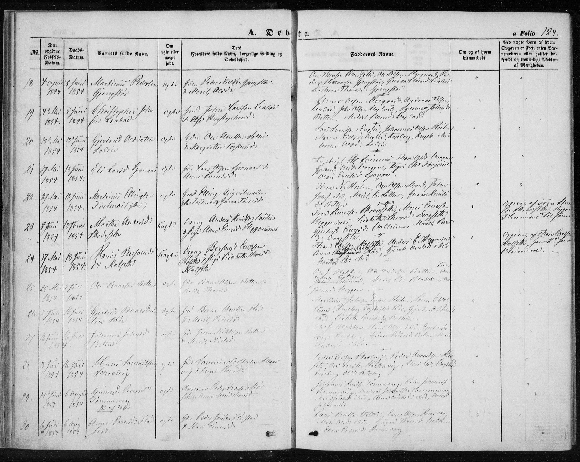 Ministerialprotokoller, klokkerbøker og fødselsregistre - Møre og Romsdal, AV/SAT-A-1454/576/L0883: Parish register (official) no. 576A01, 1849-1865, p. 124