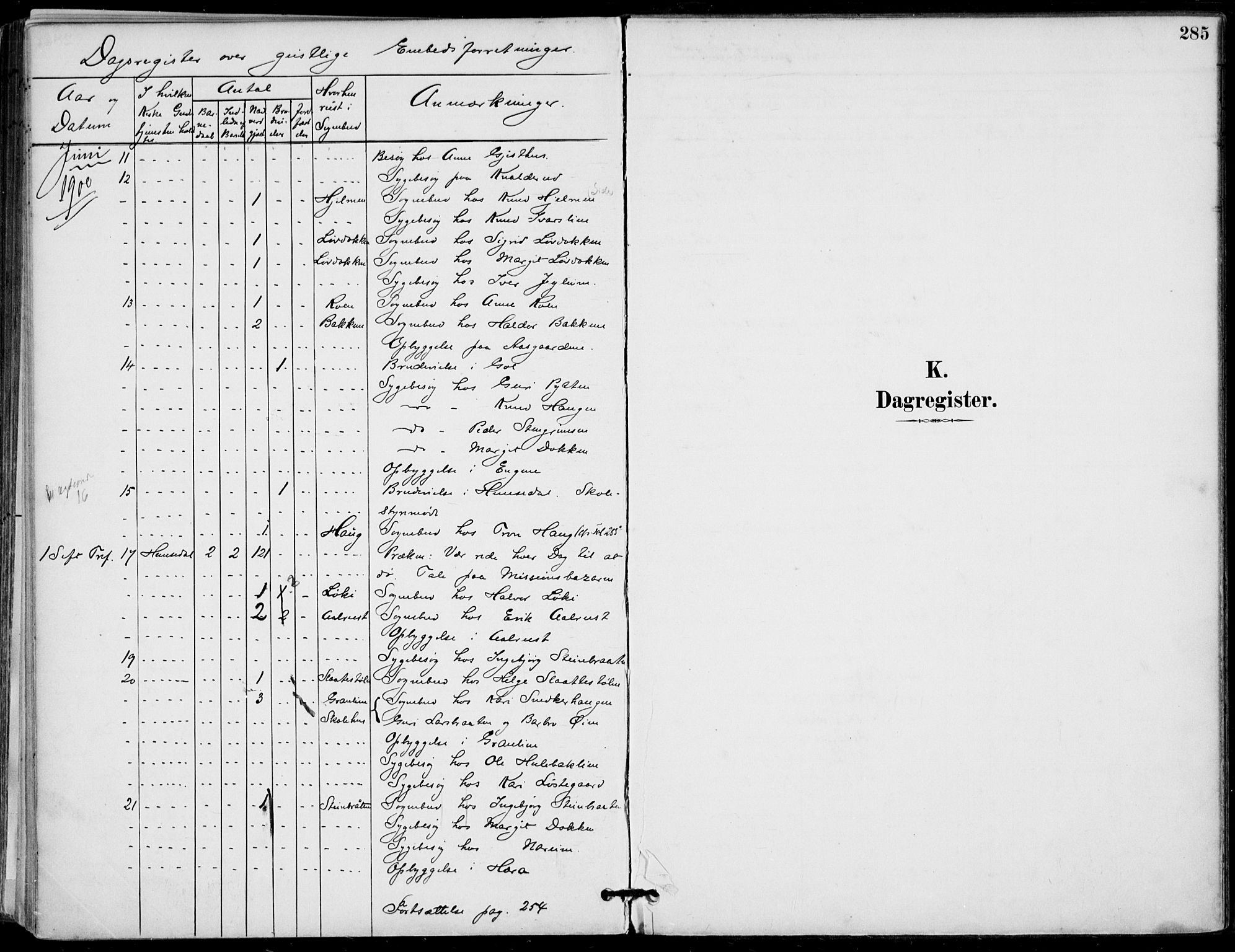 Gol kirkebøker, AV/SAKO-A-226/F/Fa/L0005: Parish register (official) no. I 5, 1887-1900, p. 285