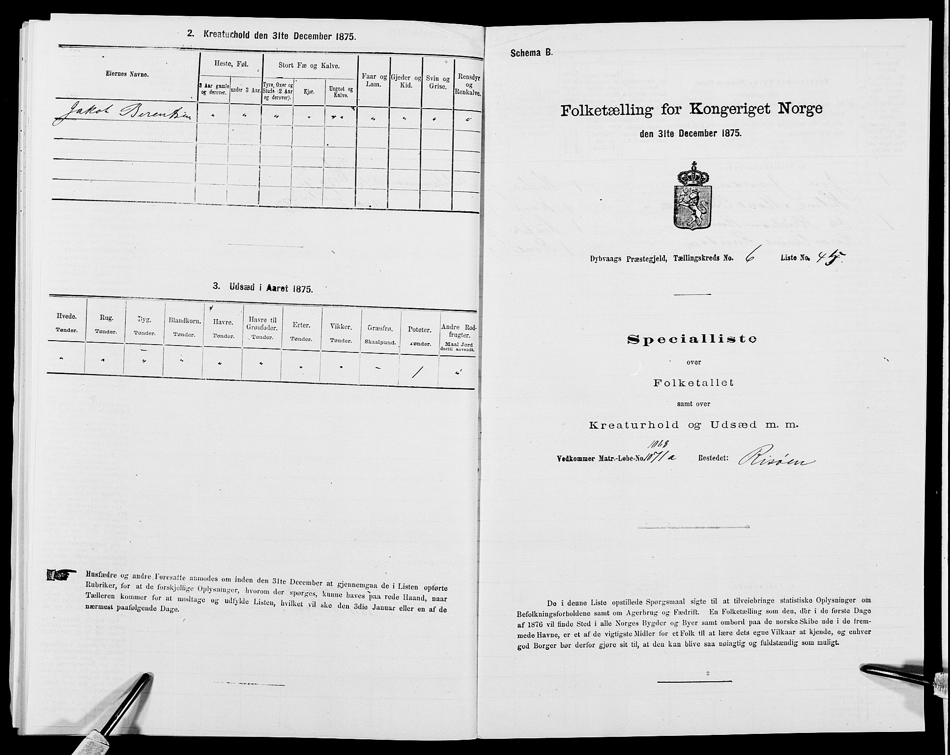 SAK, 1875 census for 0915P Dypvåg, 1875, p. 811