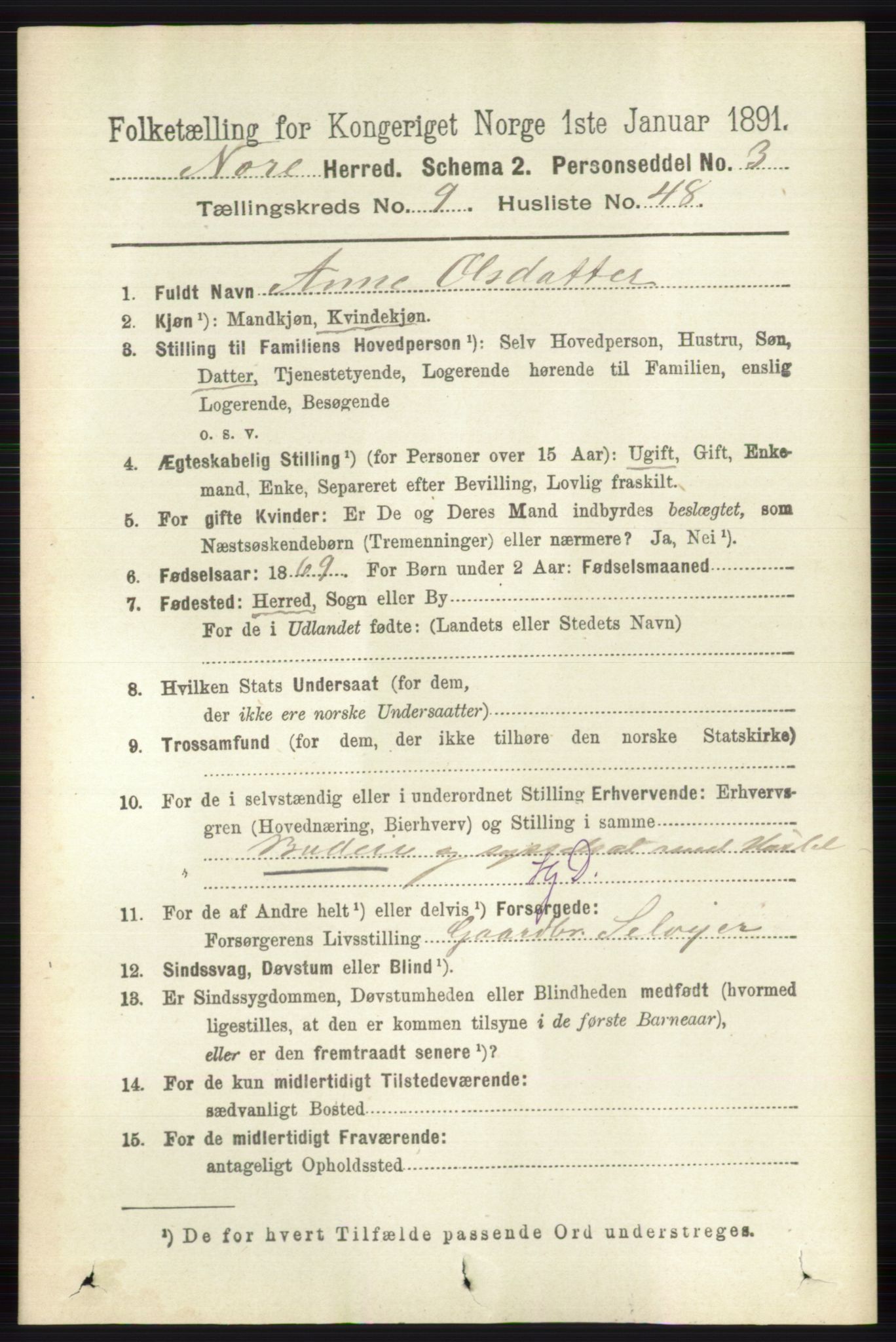 RA, 1891 census for 0633 Nore, 1891, p. 3491
