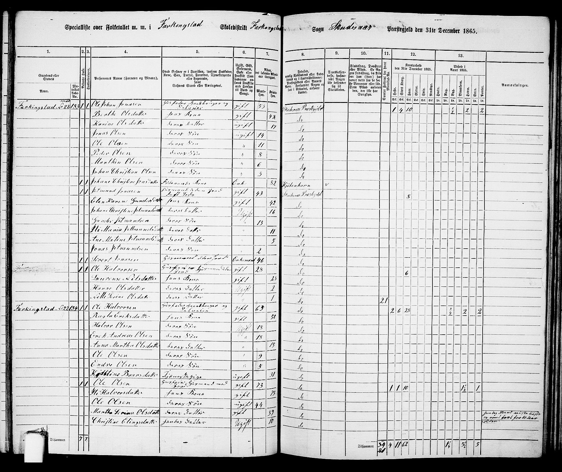 RA, 1865 census for Skudenes, 1865, p. 99