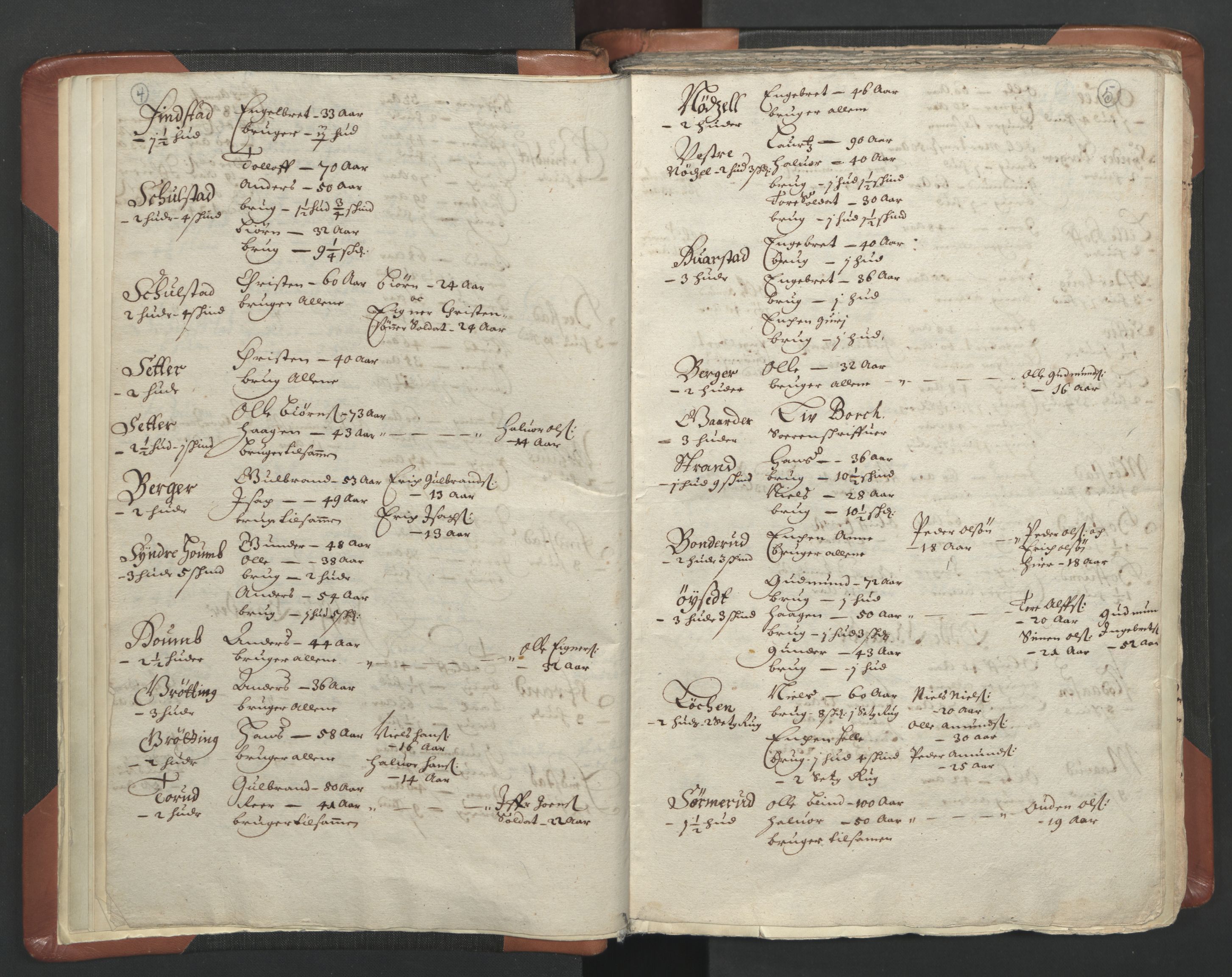 RA, Vicar's Census 1664-1666, no. 5: Hedmark deanery, 1664-1666, p. 4-5