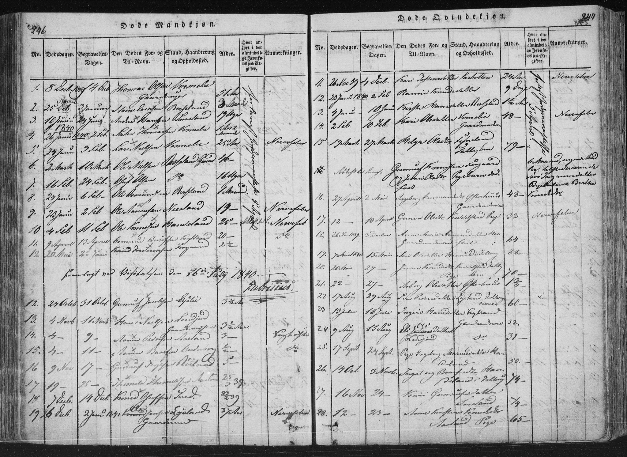 Åseral sokneprestkontor, SAK/1111-0051/F/Fa/L0001: Parish register (official) no. A 1, 1815-1853, p. 246-247