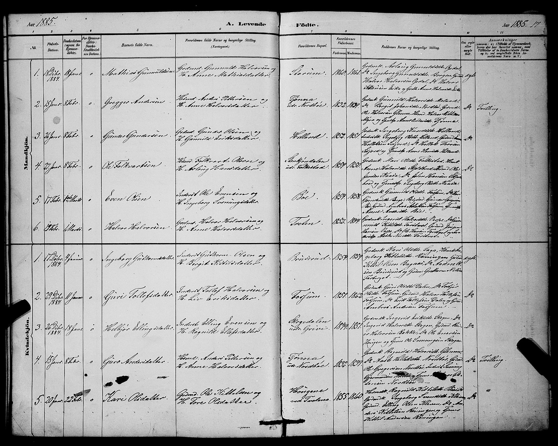 Bø kirkebøker, SAKO/A-257/G/Ga/L0005: Parish register (copy) no. 5, 1883-1897, p. 17