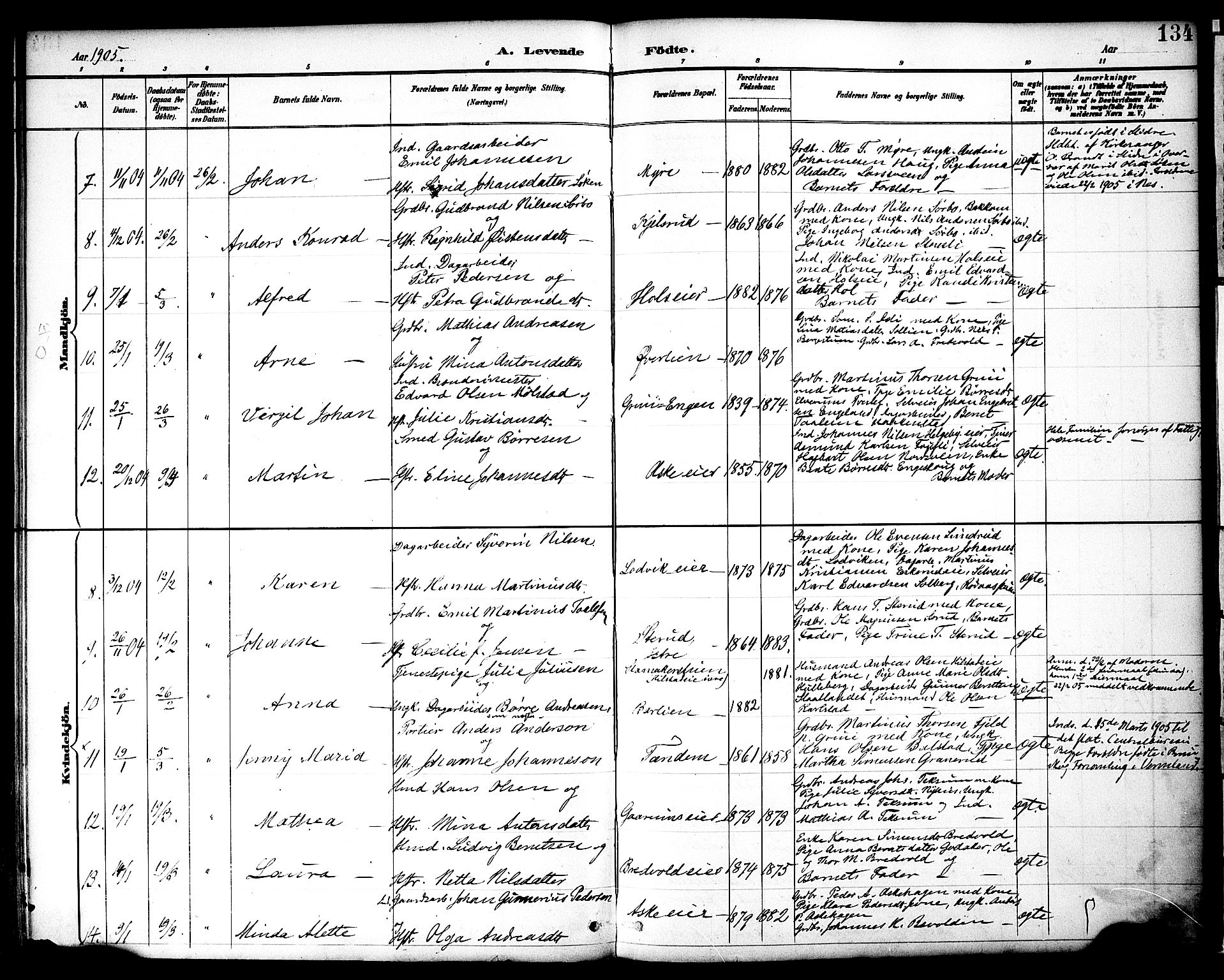 Nes prestekontor, Hedmark, AV/SAH-PREST-020/K/Ka/L0009: Parish register (official) no. 9, 1887-1905, p. 134