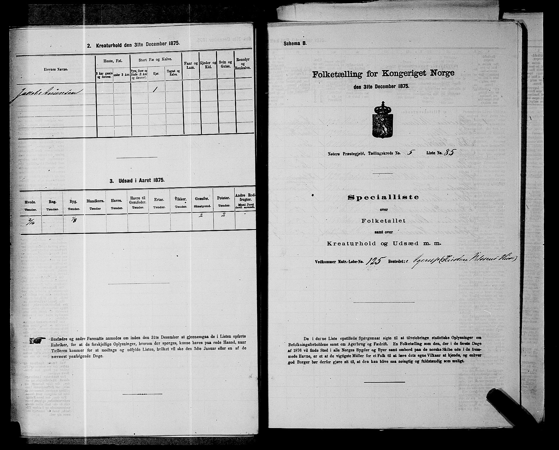 SAKO, 1875 census for 0722P Nøtterøy, 1875, p. 1142