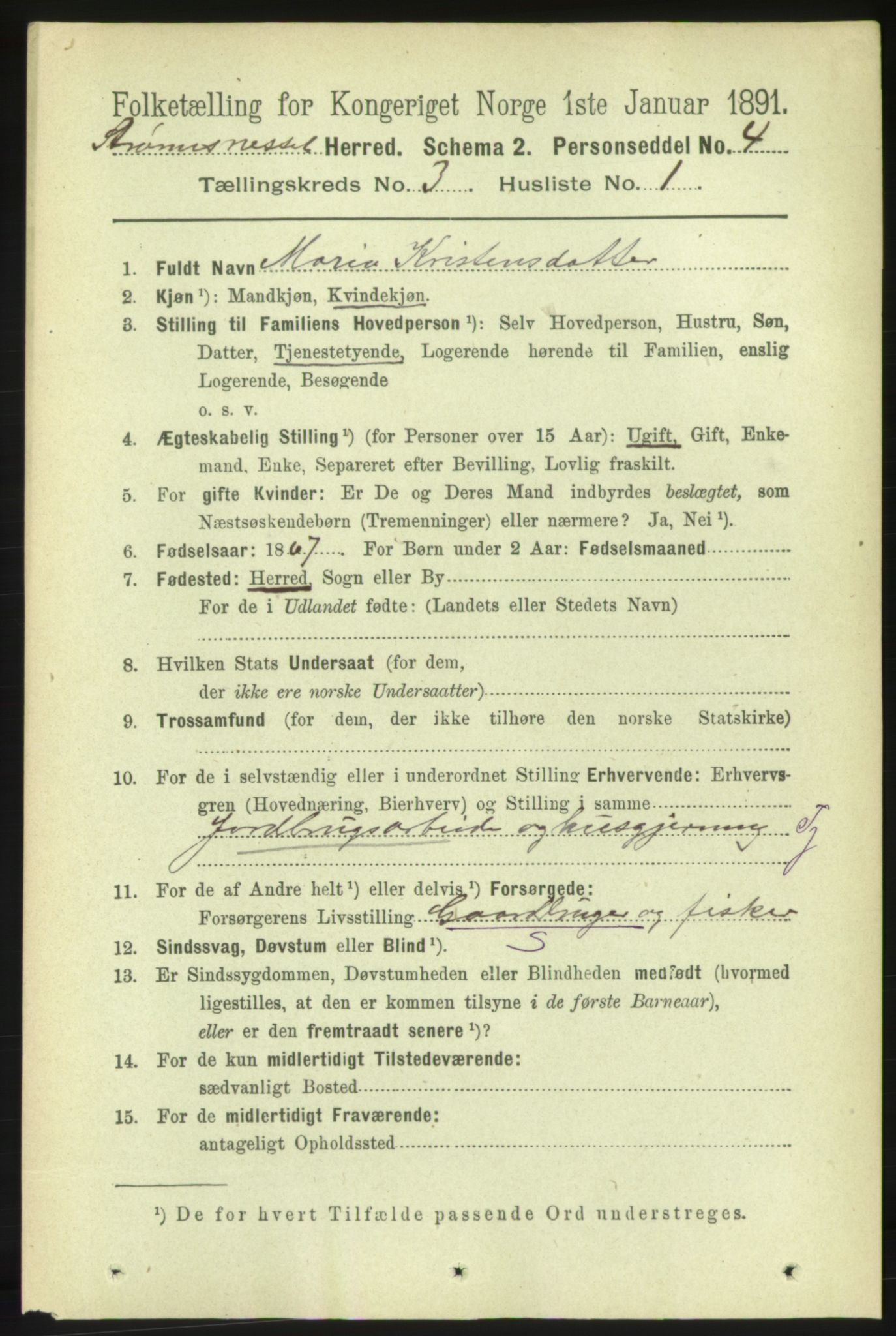 RA, 1891 census for 1559 Straumsnes, 1891, p. 463