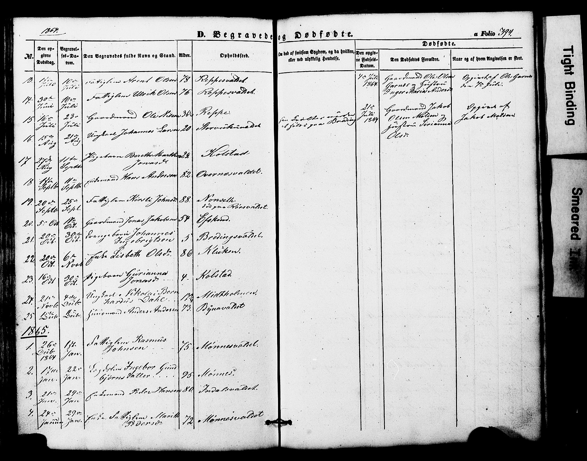 Ministerialprotokoller, klokkerbøker og fødselsregistre - Nord-Trøndelag, AV/SAT-A-1458/724/L0268: Parish register (copy) no. 724C04, 1846-1878, p. 394