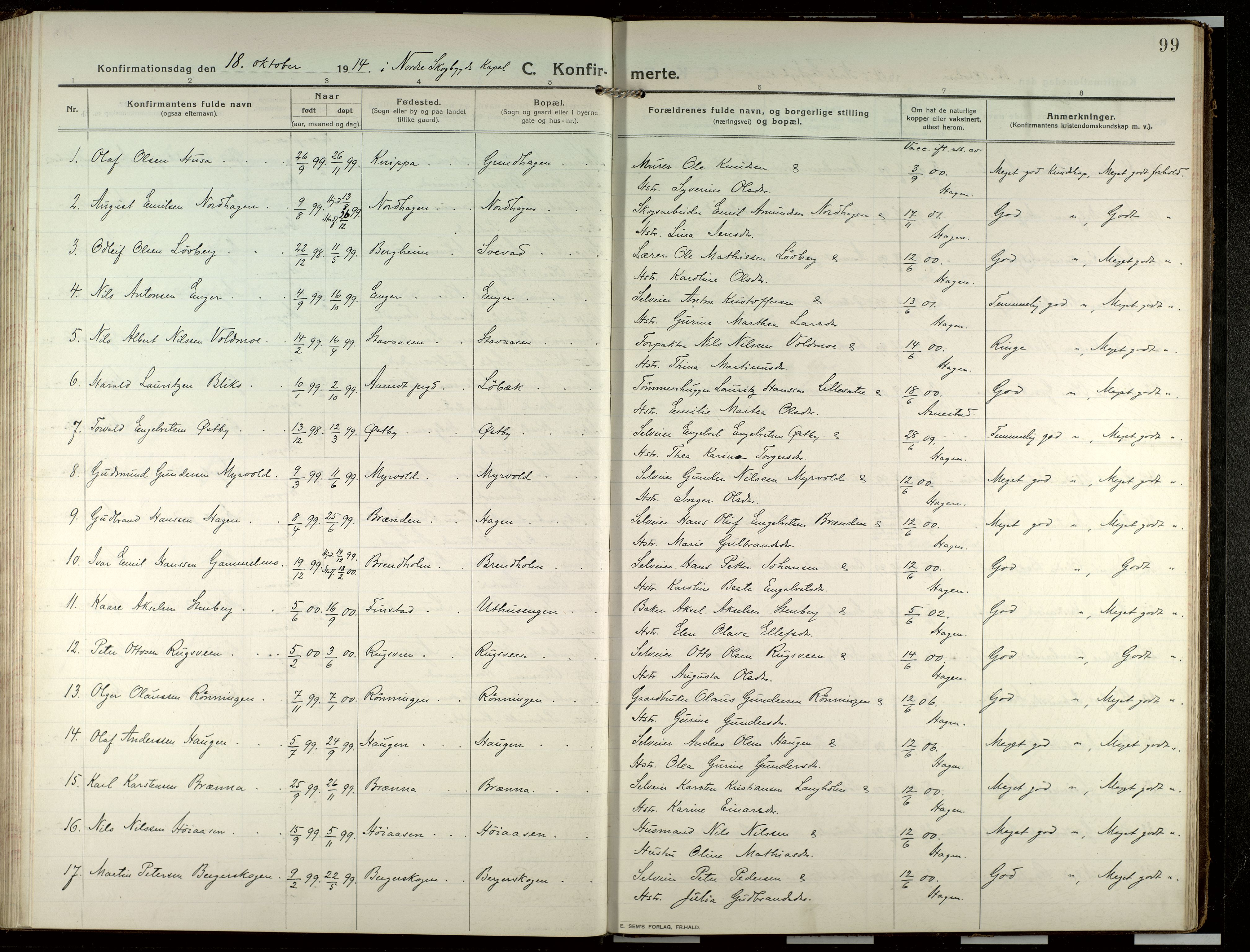 Elverum prestekontor, AV/SAH-PREST-044/H/Ha/Haa/L0022: Parish register (official) no. 22, 1913-1924, p. 99