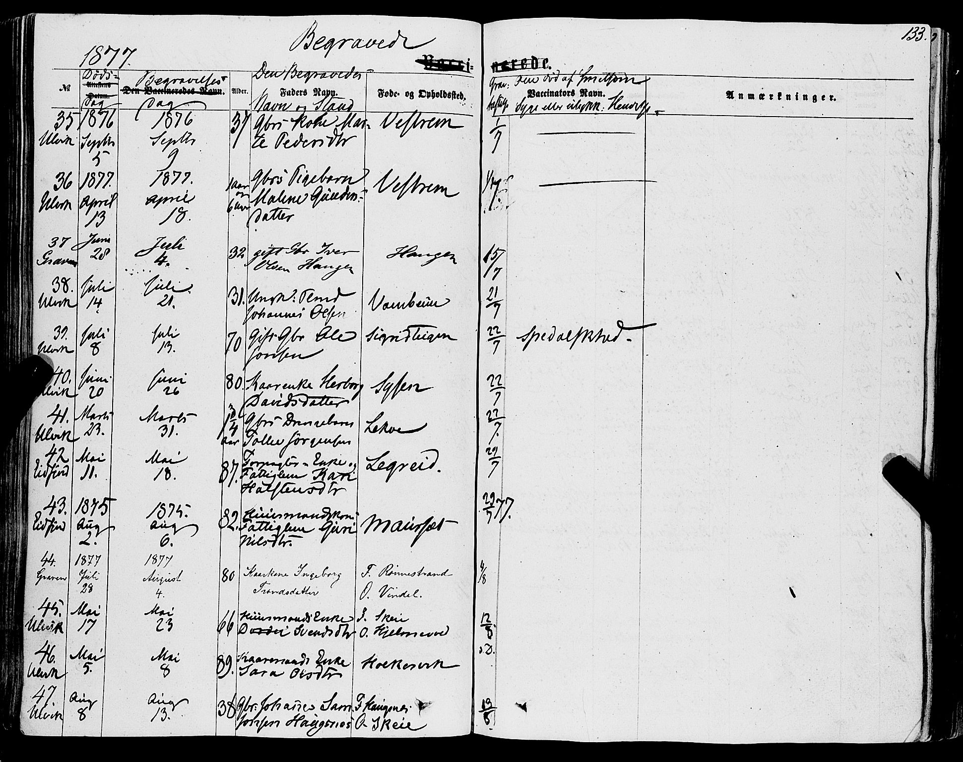 Ulvik sokneprestembete, AV/SAB-A-78801/H/Haa: Parish register (official) no. A 15, 1864-1878, p. 133