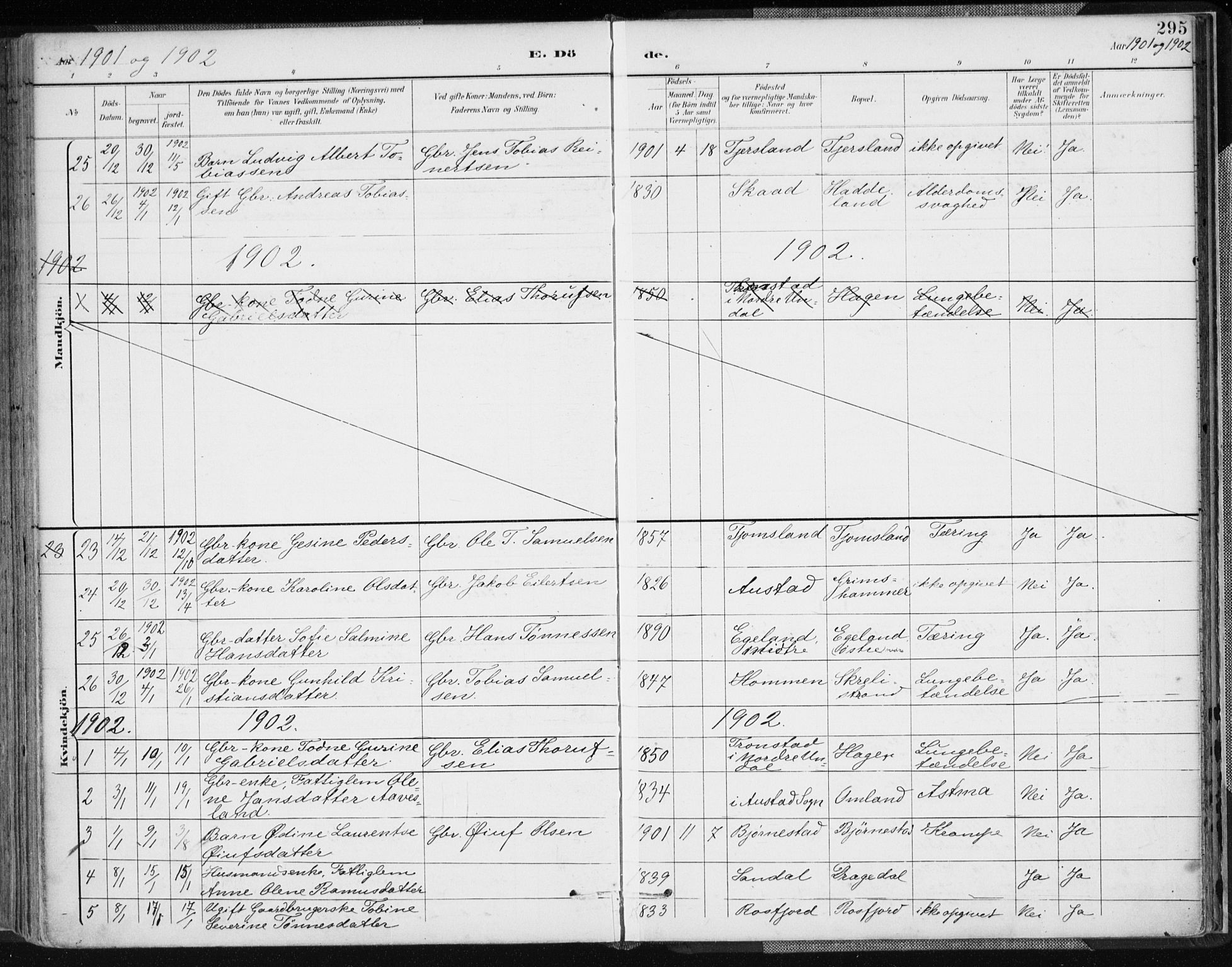 Lyngdal sokneprestkontor, AV/SAK-1111-0029/F/Fa/Fac/L0012: Parish register (official) no. A 12, 1894-1918, p. 295