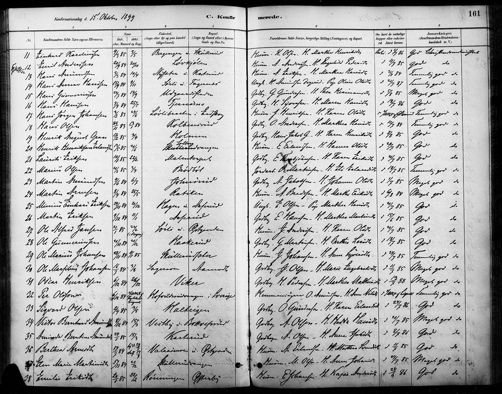 Vinger prestekontor, AV/SAH-PREST-024/H/Ha/Haa/L0015: Parish register (official) no. 15, 1881-1900, p. 161