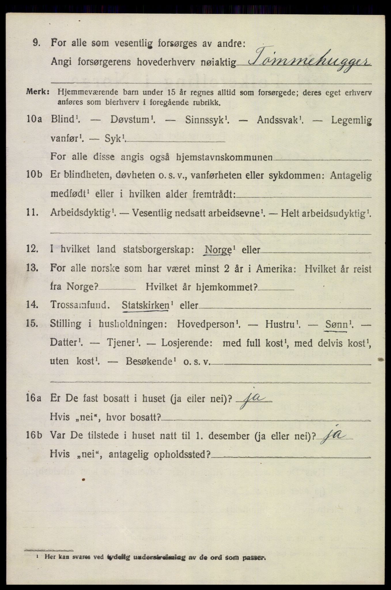 SAH, 1920 census for Engerdal, 1920, p. 3052