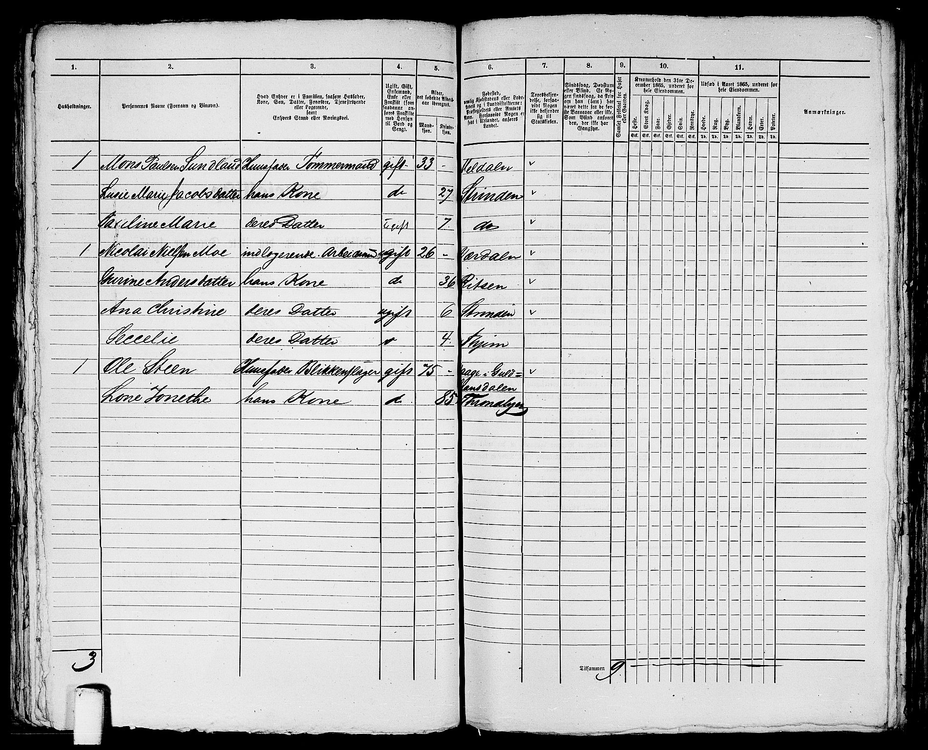 RA, 1865 census for Trondheim, 1865, p. 1842