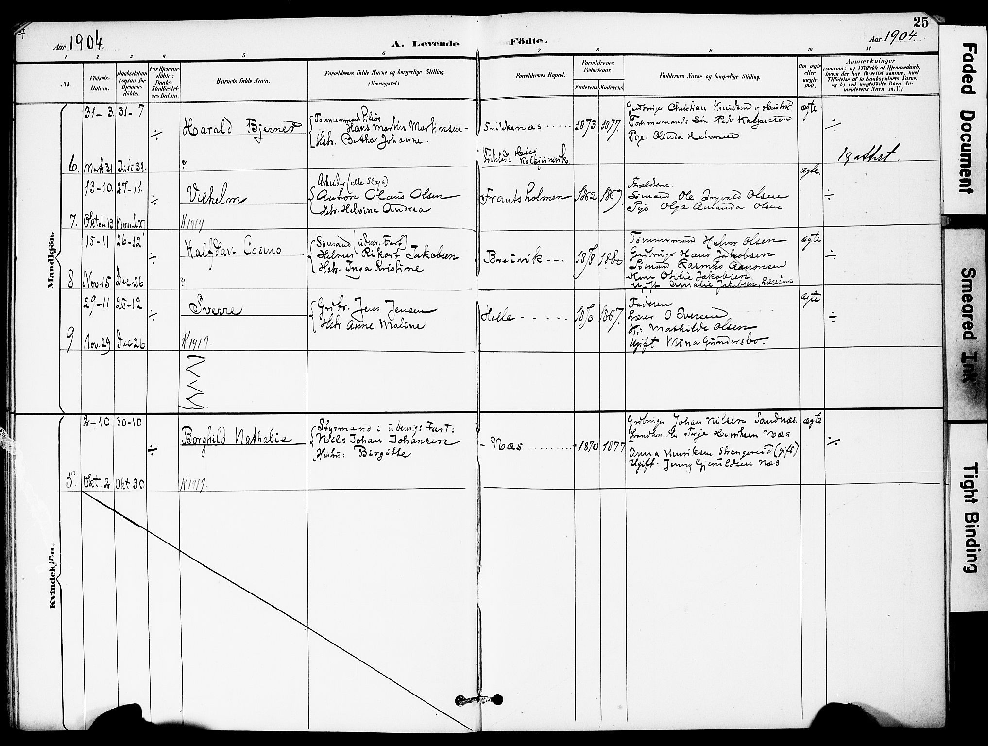 Austre Moland sokneprestkontor, AV/SAK-1111-0001/F/Fa/Fab/L0002: Parish register (official) no. A 2, 1894-1919, p. 25