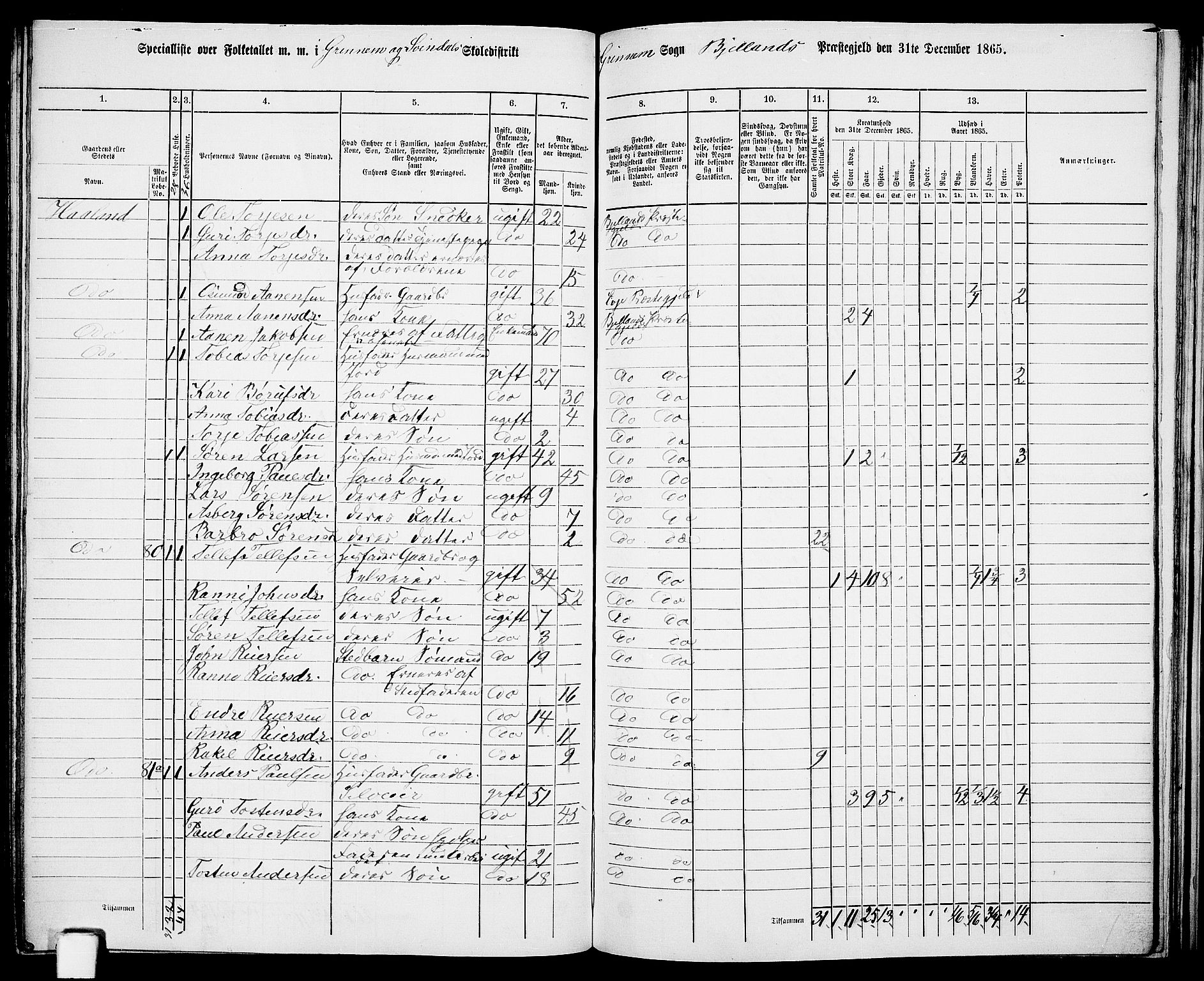 RA, 1865 census for Bjelland, 1865, p. 66