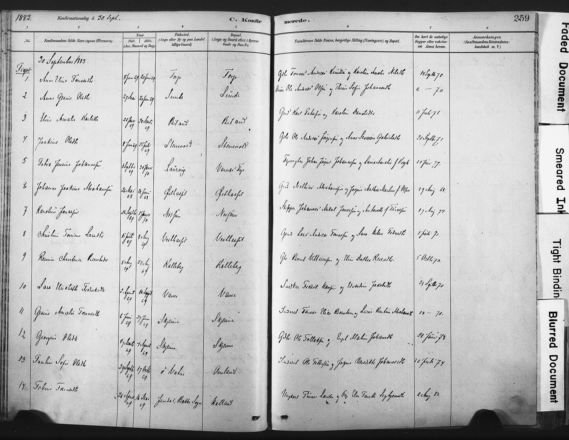 Lista sokneprestkontor, AV/SAK-1111-0027/F/Fa/L0012: Parish register (official) no. A 12, 1879-1903, p. 259