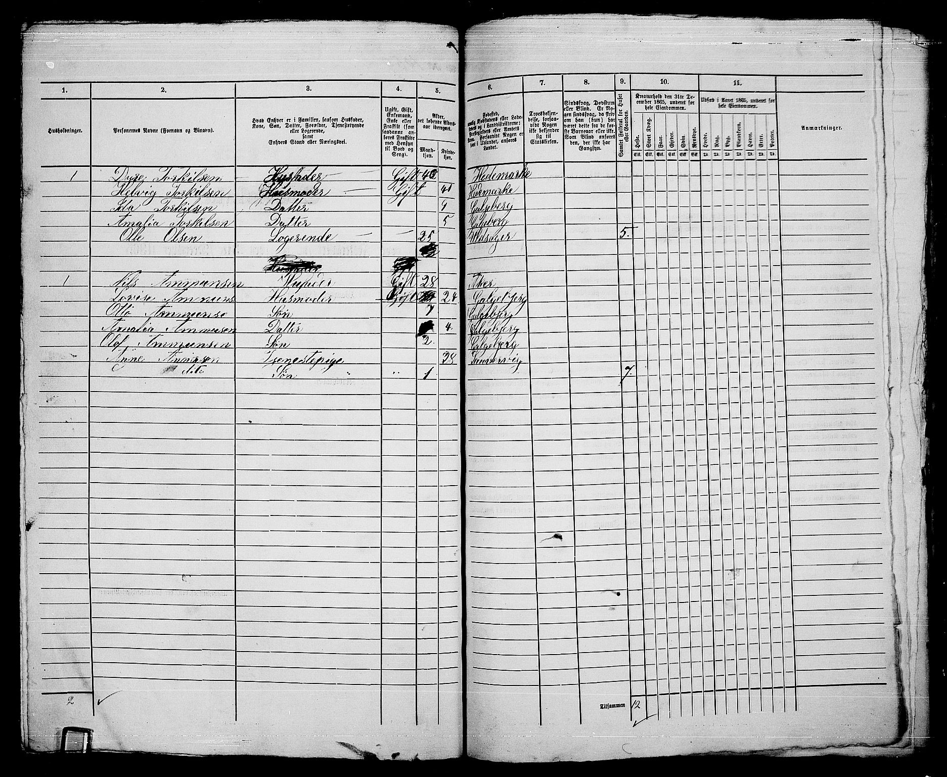 RA, 1865 census for Kristiania, 1865, p. 4371