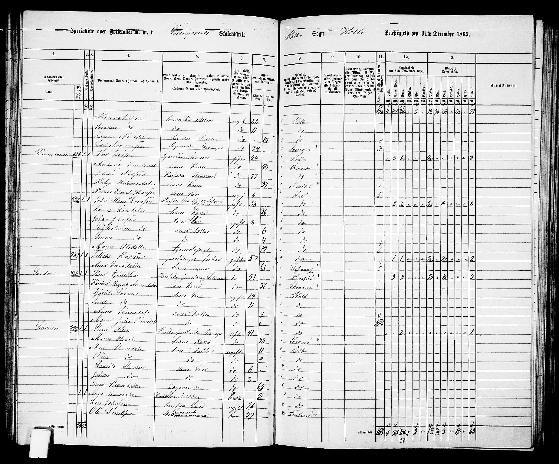 RA, 1865 census for Holt/Holt, 1865, p. 75