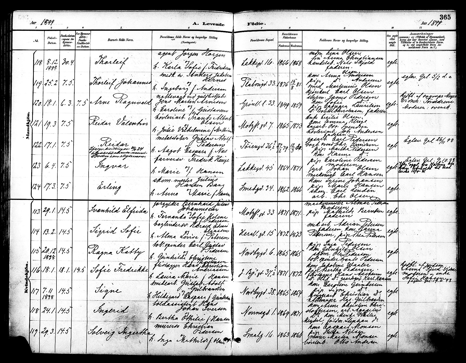 Grønland prestekontor Kirkebøker, SAO/A-10848/F/Fa/L0012: Parish register (official) no. 12, 1893-1900, p. 365