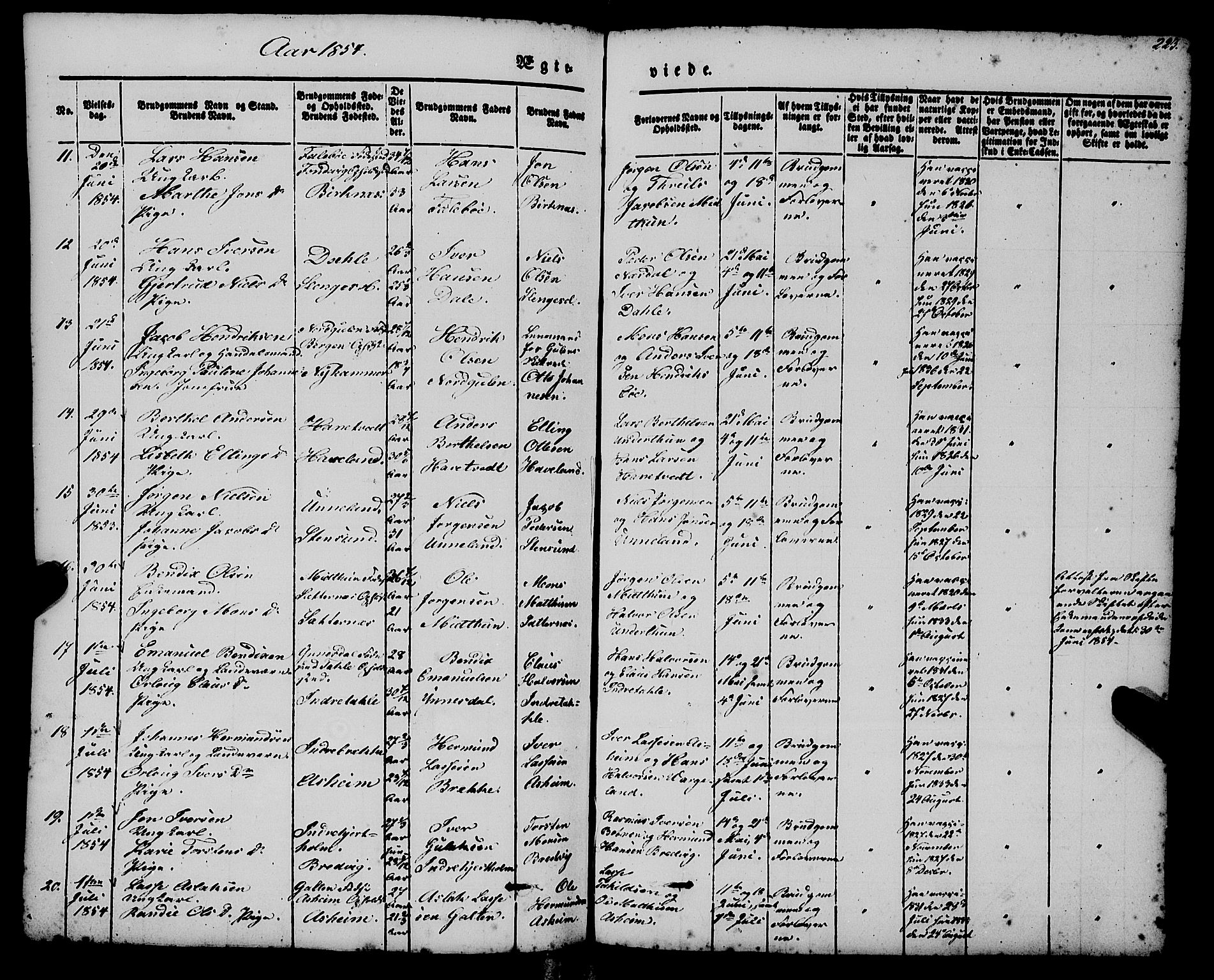 Gulen sokneprestembete, AV/SAB-A-80201/H/Haa/Haaa/L0021: Parish register (official) no. A 21, 1848-1858, p. 223