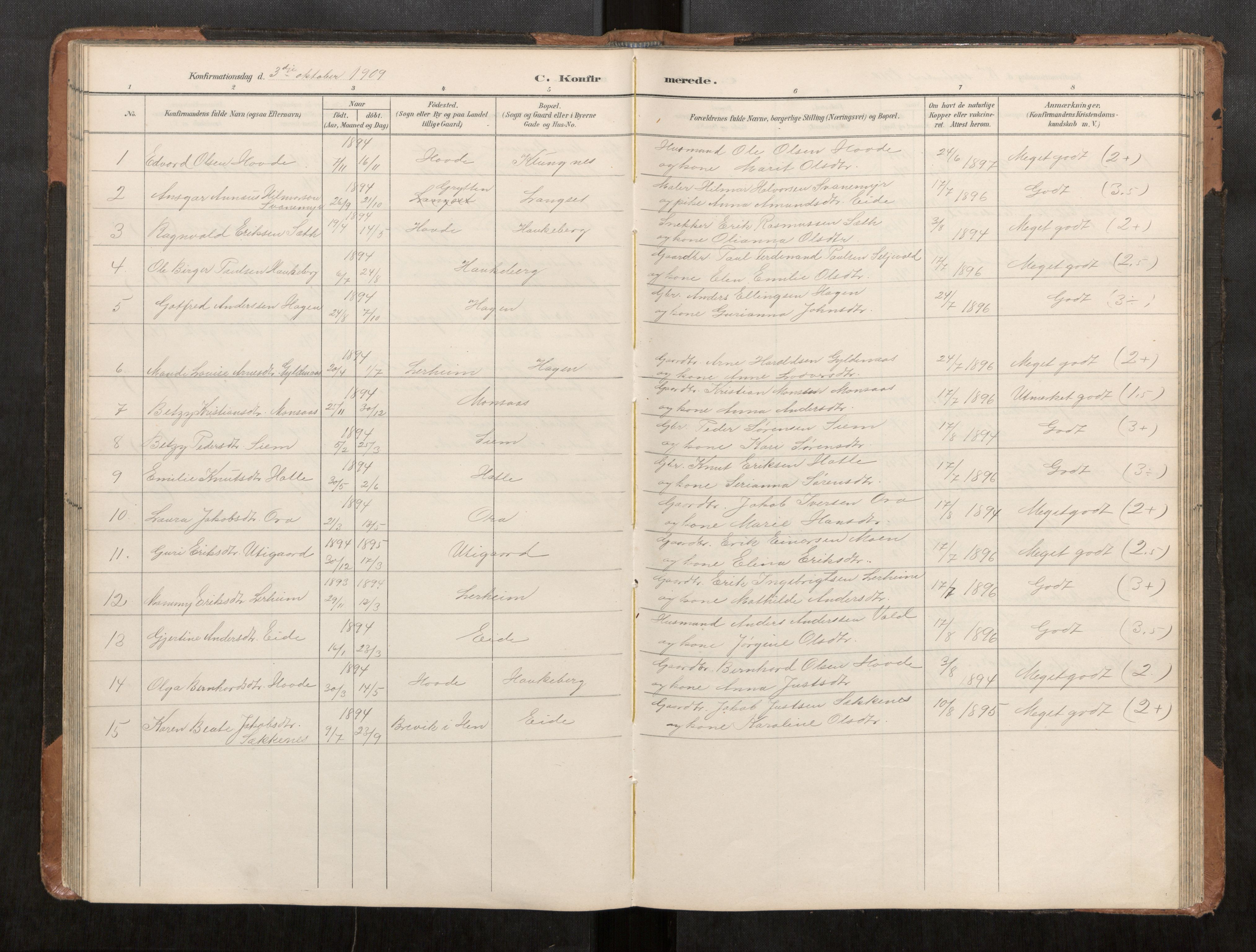 Ministerialprotokoller, klokkerbøker og fødselsregistre - Møre og Romsdal, AV/SAT-A-1454/542/L0561: Parish register (copy) no. 542C03, 1893-1931