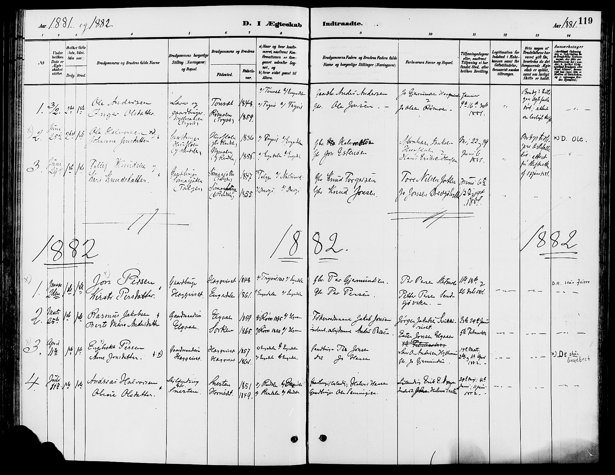 Engerdal prestekontor, AV/SAH-PREST-048/H/Ha/Haa/L0001: Parish register (official) no. 1, 1881-1898, p. 119