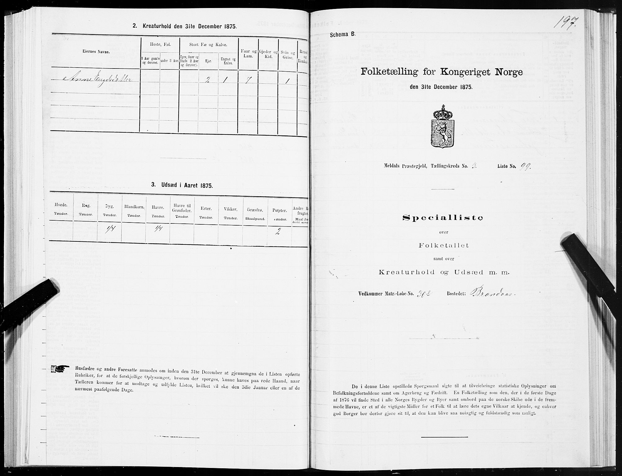 SAT, 1875 census for 1636P Meldal, 1875, p. 2197