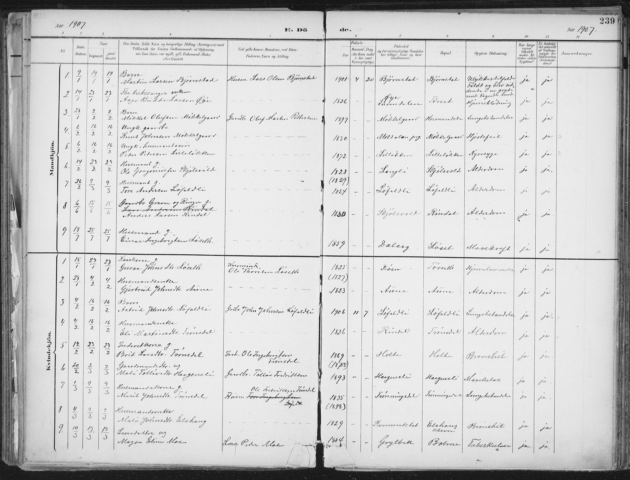 Ministerialprotokoller, klokkerbøker og fødselsregistre - Møre og Romsdal, SAT/A-1454/598/L1072: Parish register (official) no. 598A06, 1896-1910, p. 239