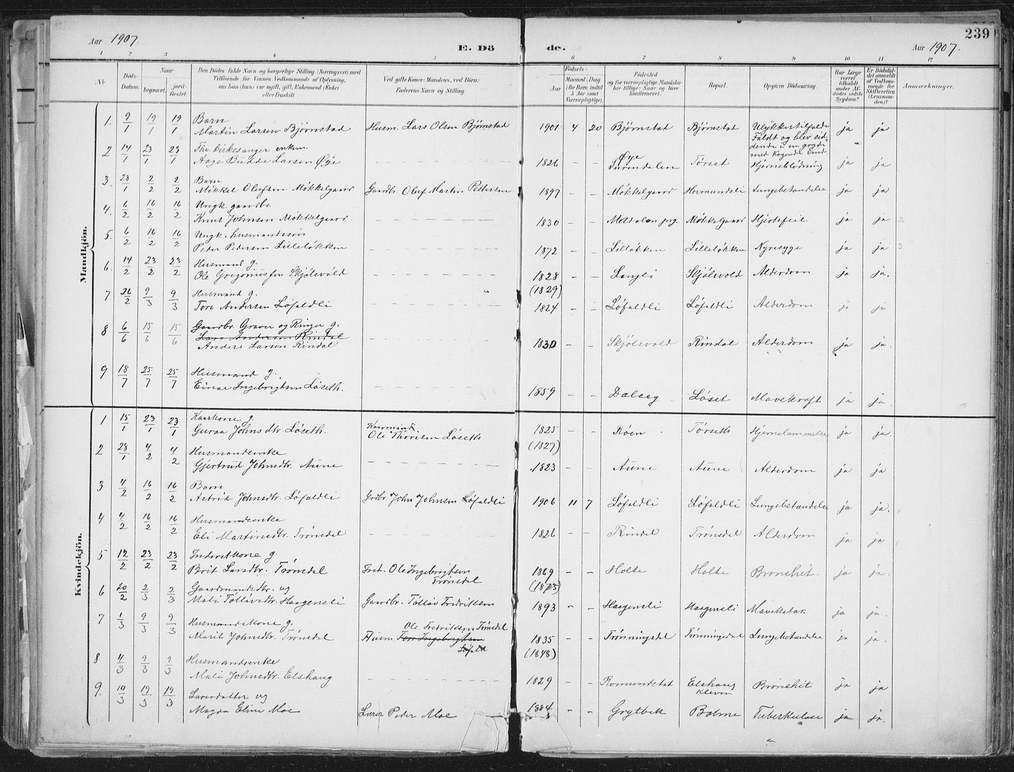 Ministerialprotokoller, klokkerbøker og fødselsregistre - Møre og Romsdal, AV/SAT-A-1454/598/L1072: Parish register (official) no. 598A06, 1896-1910, p. 239