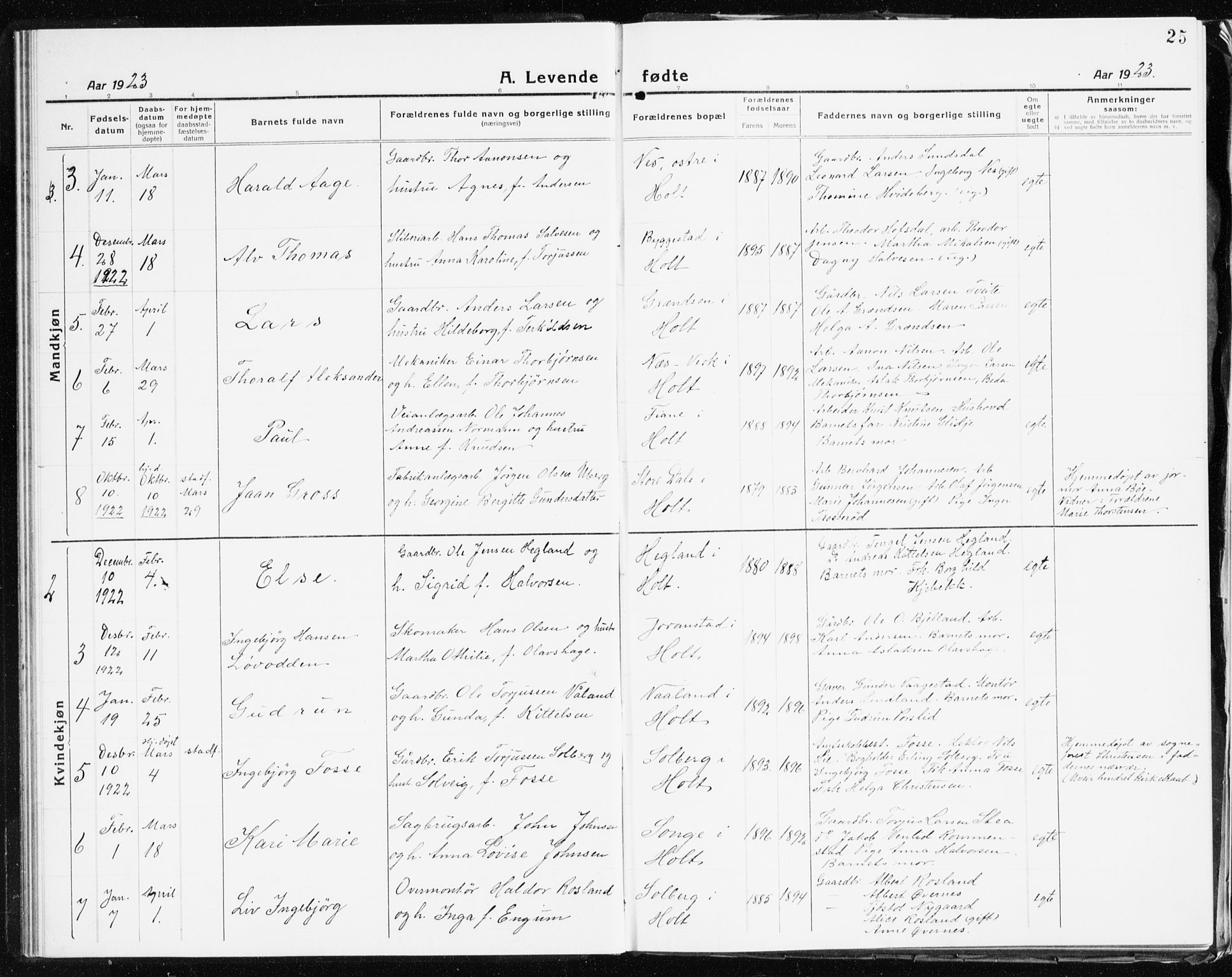 Holt sokneprestkontor, AV/SAK-1111-0021/F/Fb/L0012: Parish register (copy) no. B 12, 1919-1944, p. 25