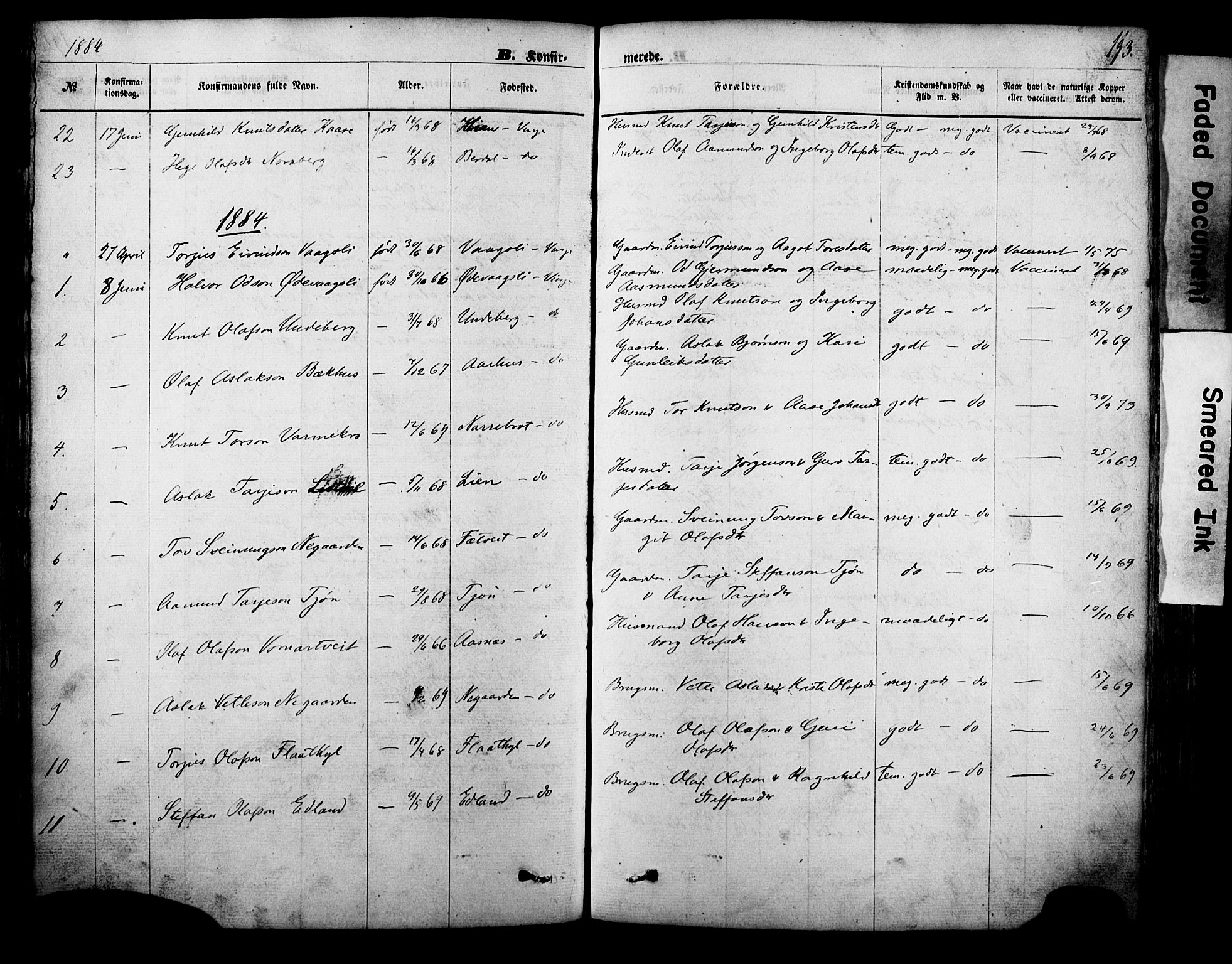 Vinje kirkebøker, SAKO/A-312/F/Fa/L0005: Parish register (official) no. I 5, 1870-1886, p. 193