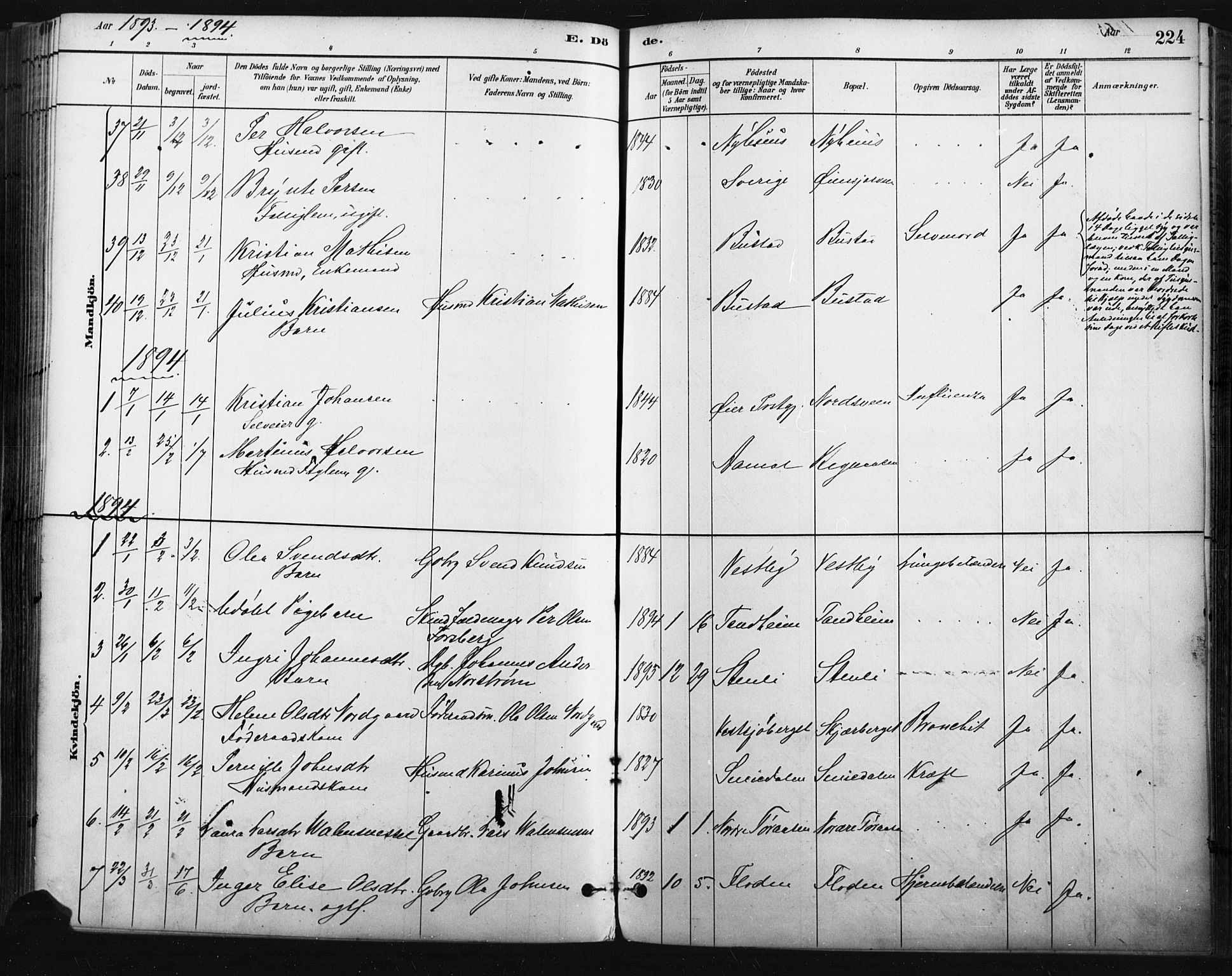 Trysil prestekontor, SAH/PREST-046/H/Ha/Haa/L0009: Parish register (official) no. 9, 1881-1897, p. 224