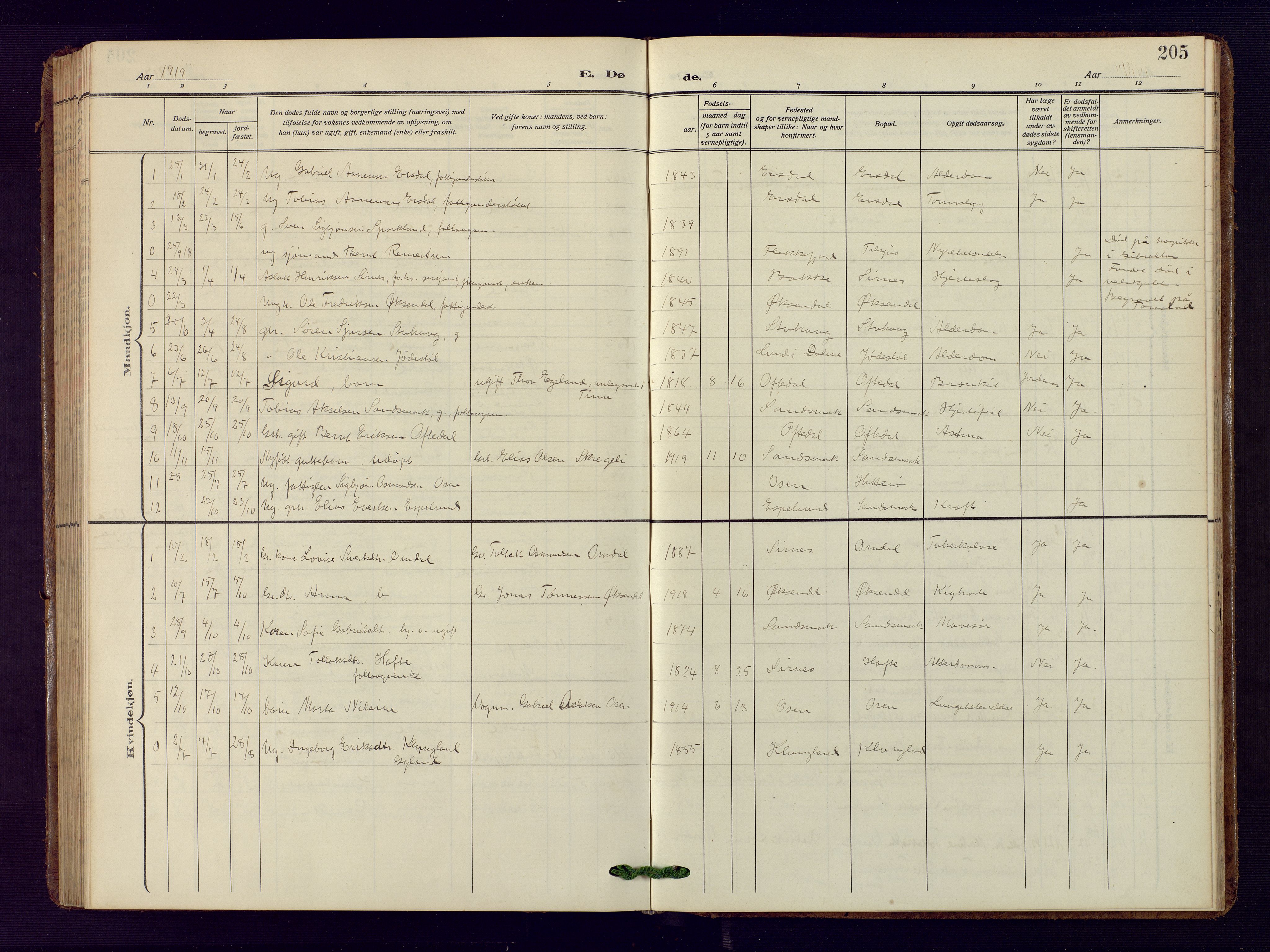 Bakke sokneprestkontor, SAK/1111-0002/F/Fb/Fba/L0004: Parish register (copy) no. B 4, 1911-1946, p. 205