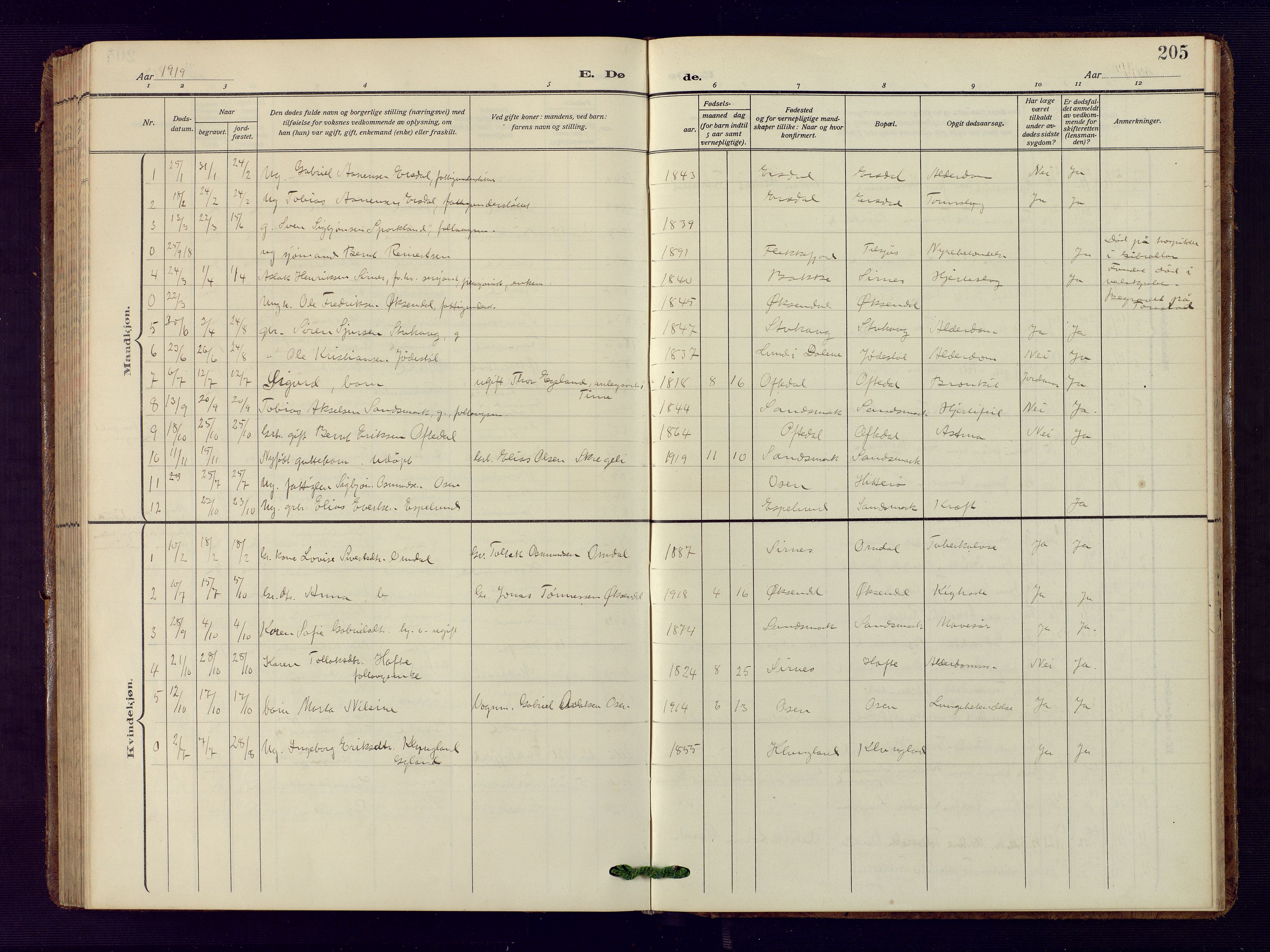 Bakke sokneprestkontor, AV/SAK-1111-0002/F/Fb/Fba/L0004: Parish register (copy) no. B 4, 1911-1946, p. 205