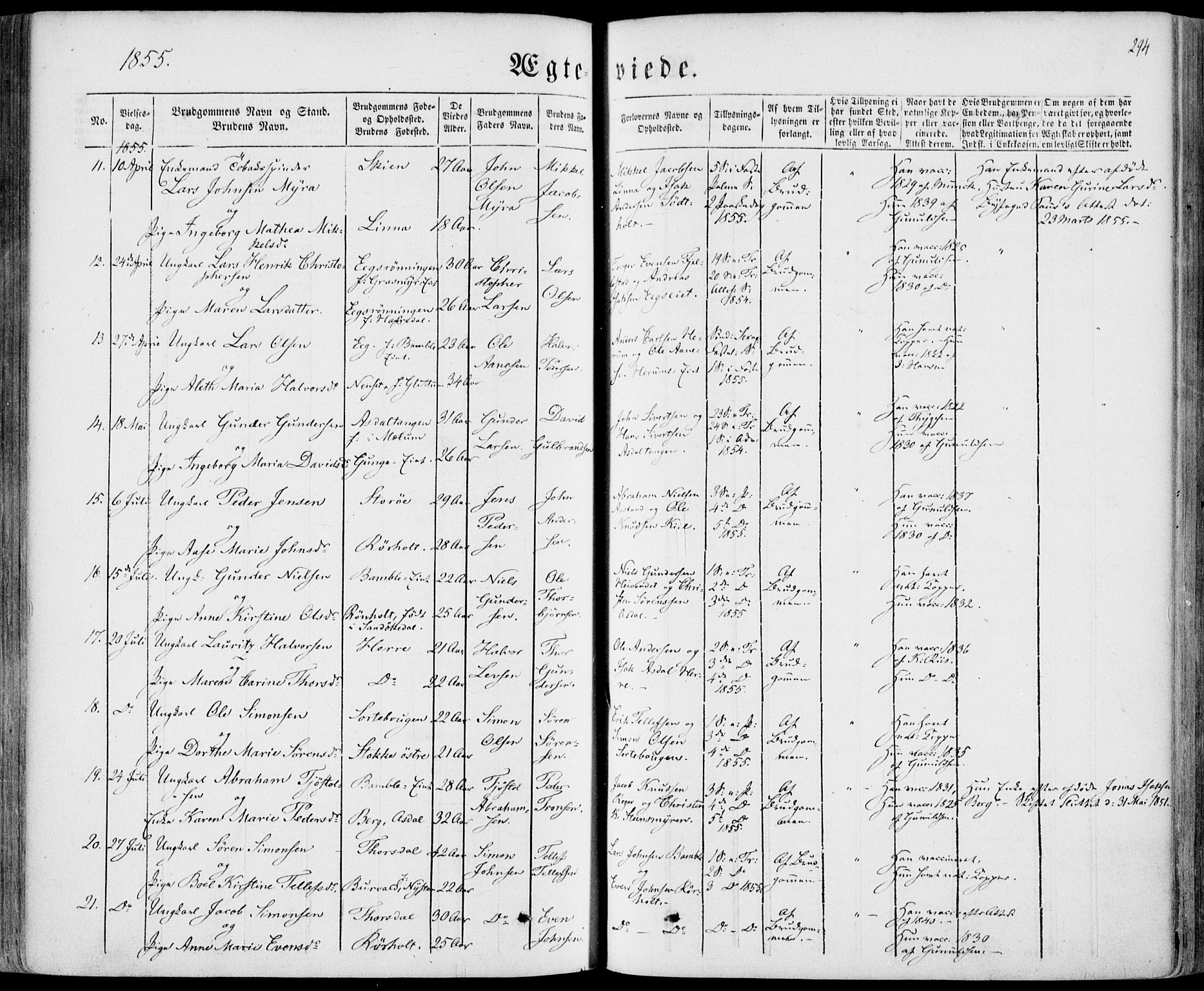 Bamble kirkebøker, SAKO/A-253/F/Fa/L0005: Parish register (official) no. I 5, 1854-1869, p. 294