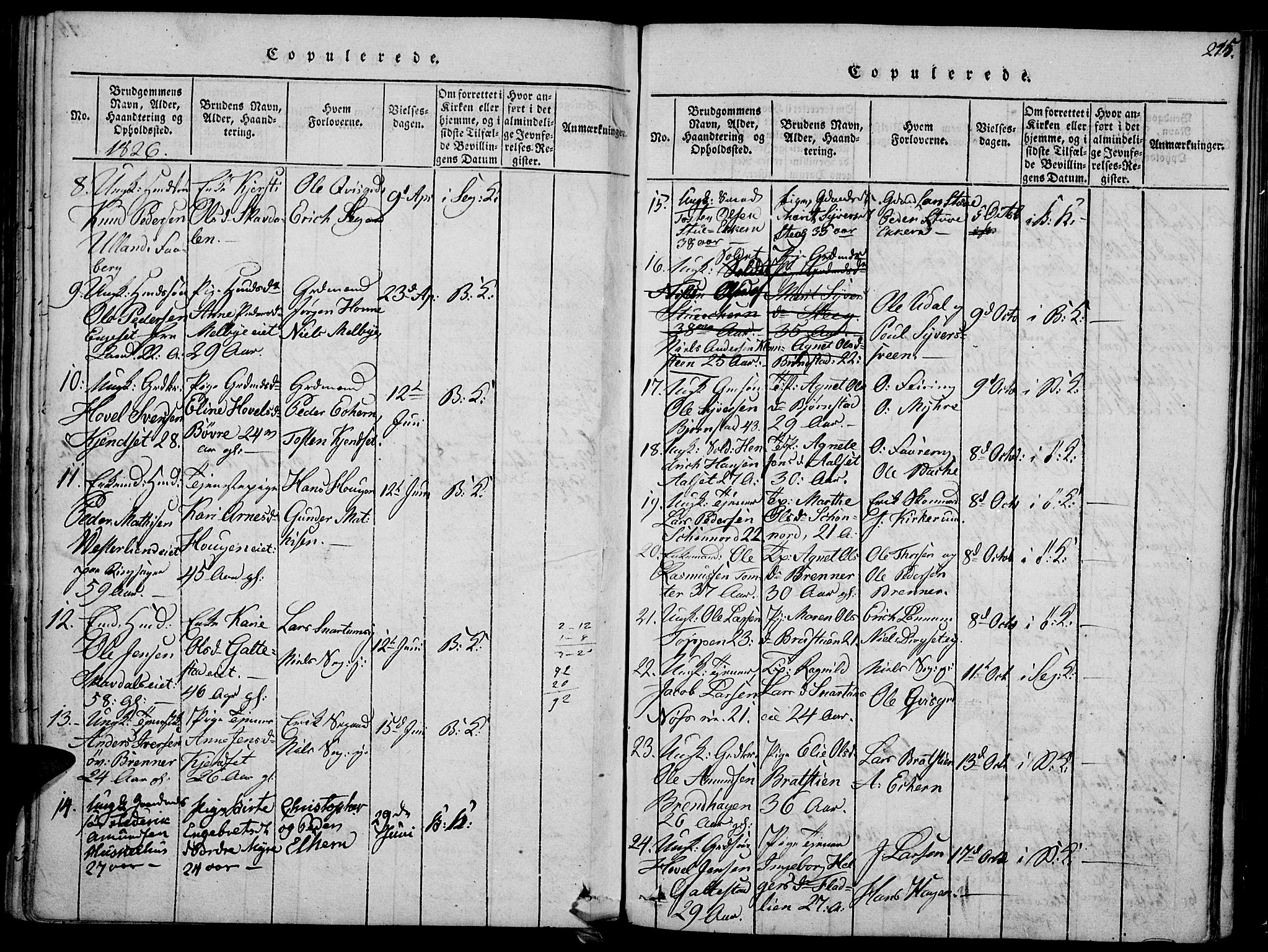 Biri prestekontor, AV/SAH-PREST-096/H/Ha/Haa/L0003: Parish register (official) no. 3, 1814-1828, p. 215